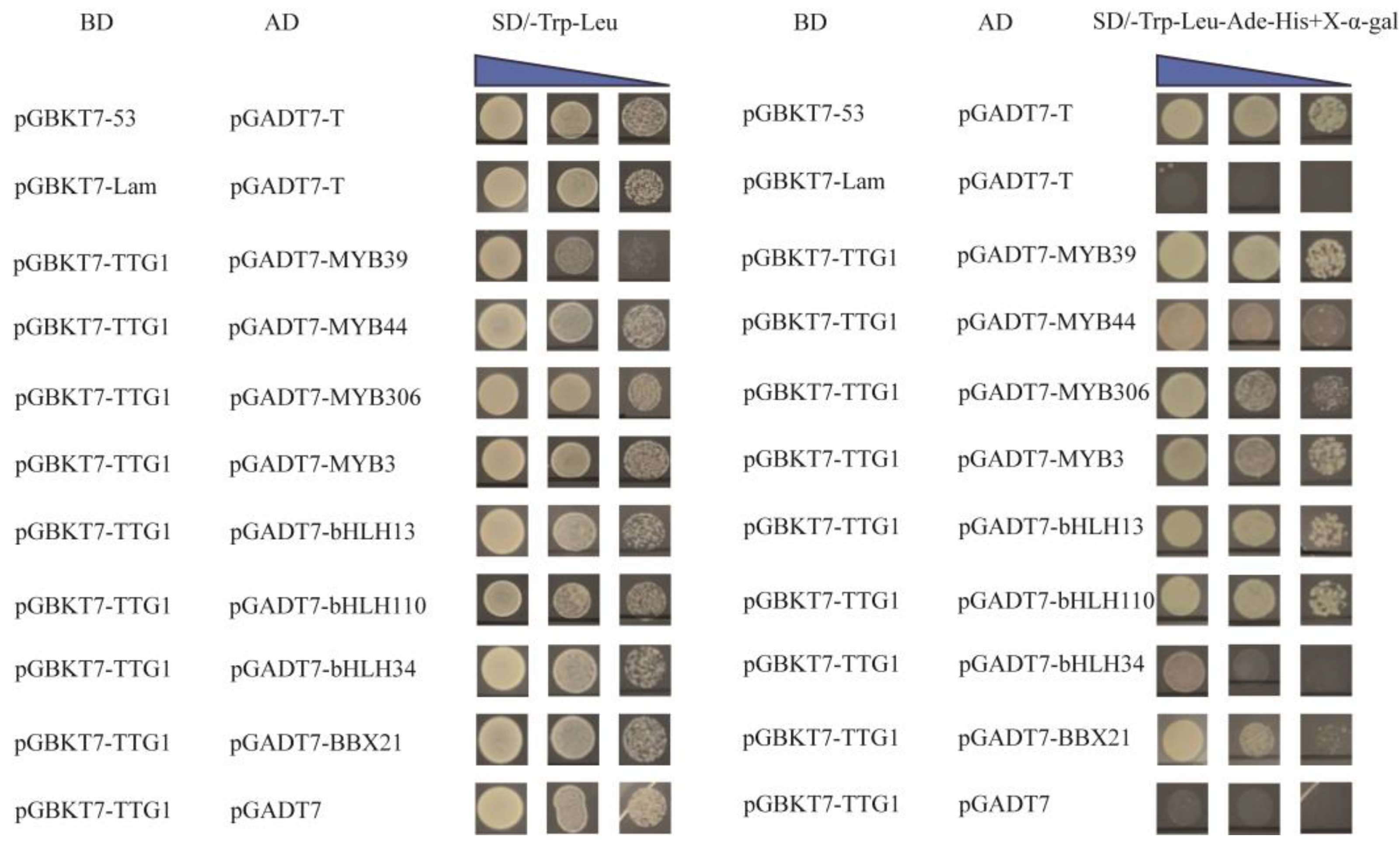 Agronomy 15 01722 g009