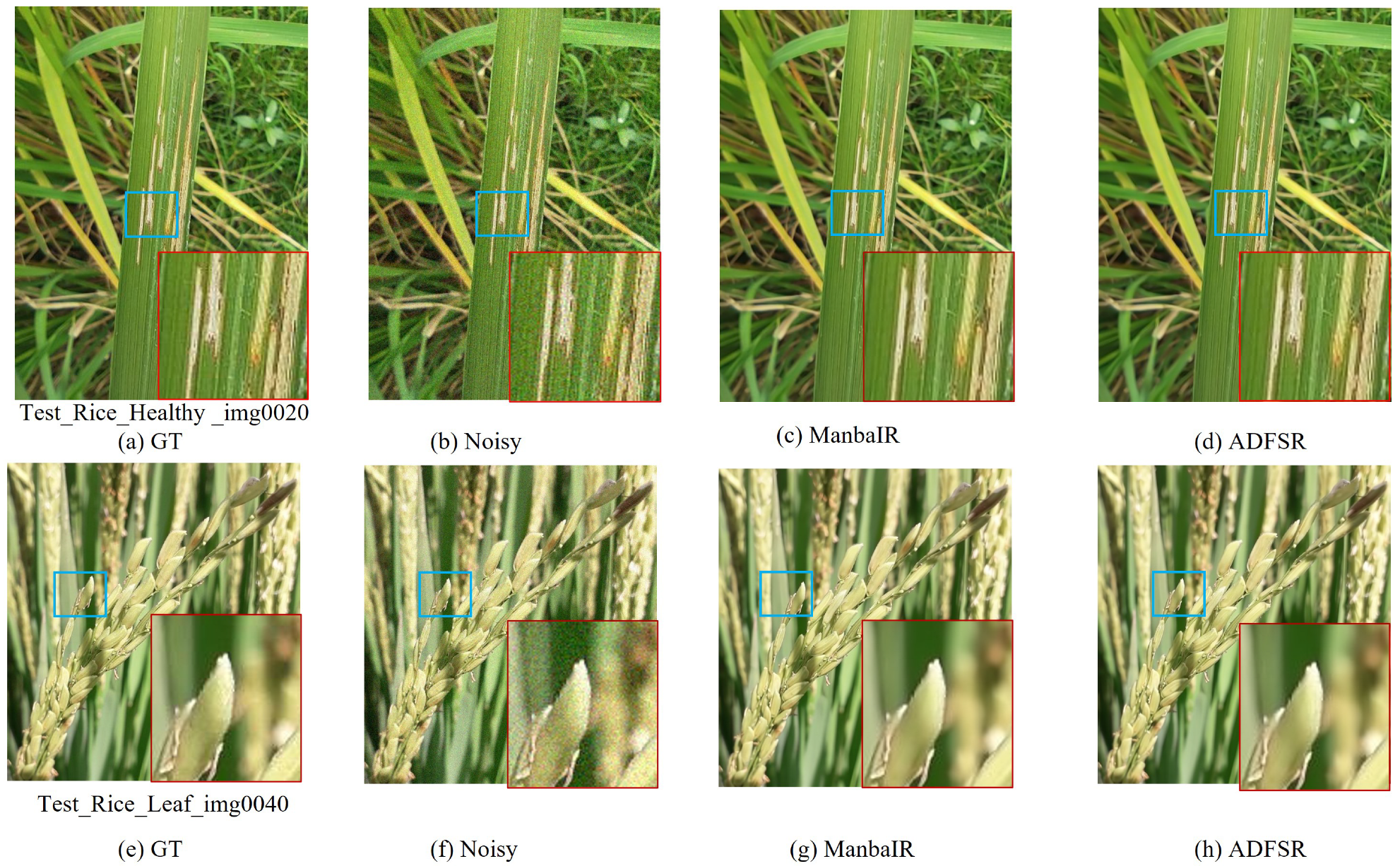 Agronomy 15 01729 g008 Agronomy 15 01729 g008