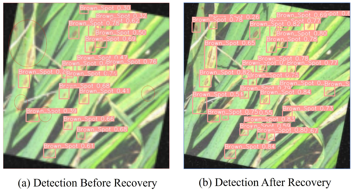Agronomy 15 01729 g011 Agronomy 15 01729 g011