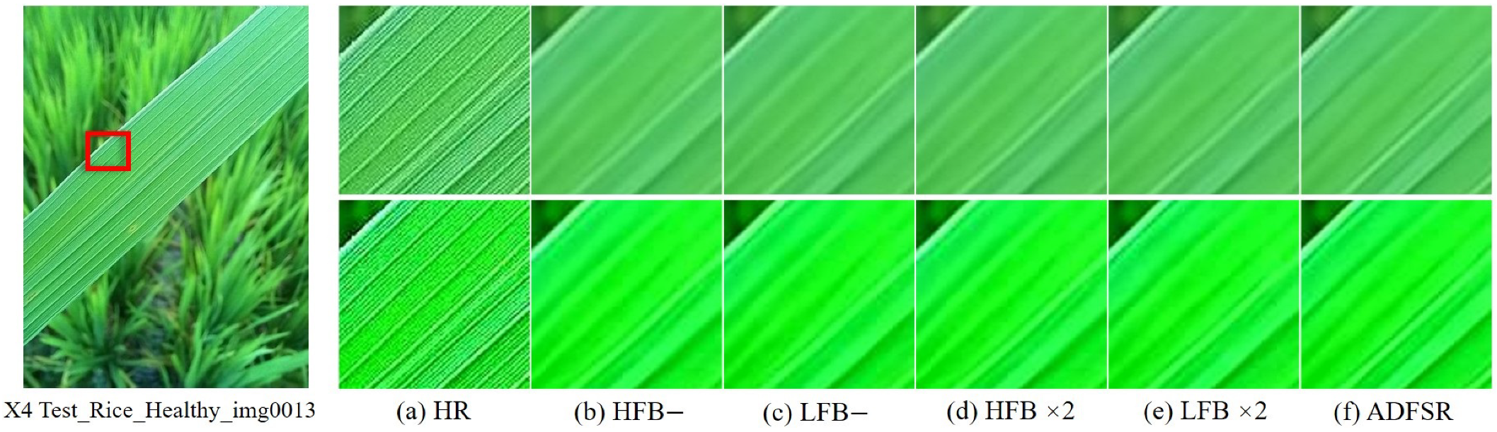 Agronomy 15 01729 g012 Agronomy 15 01729 g012