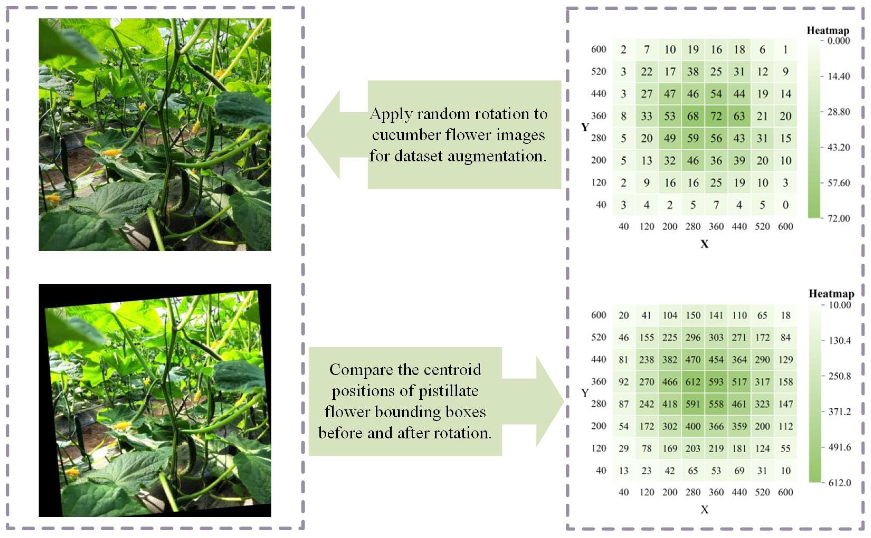 Agronomy 15 01744 g002