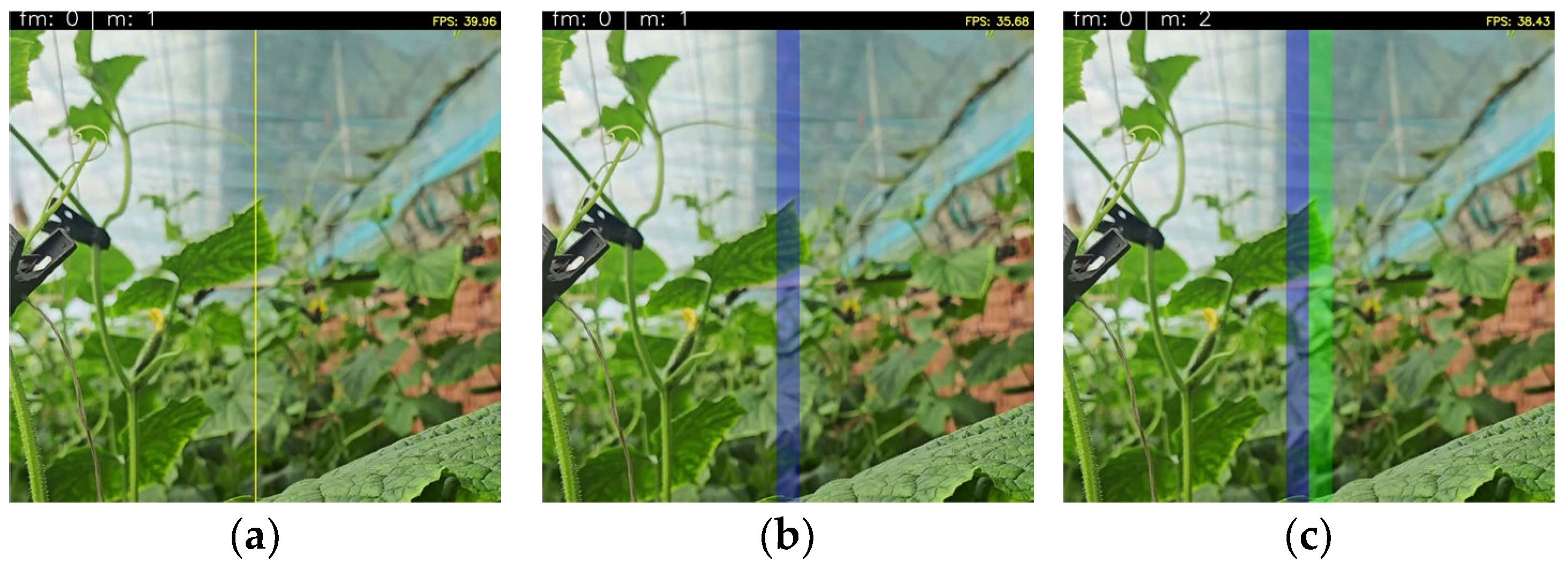 Agronomy 15 01744 g005