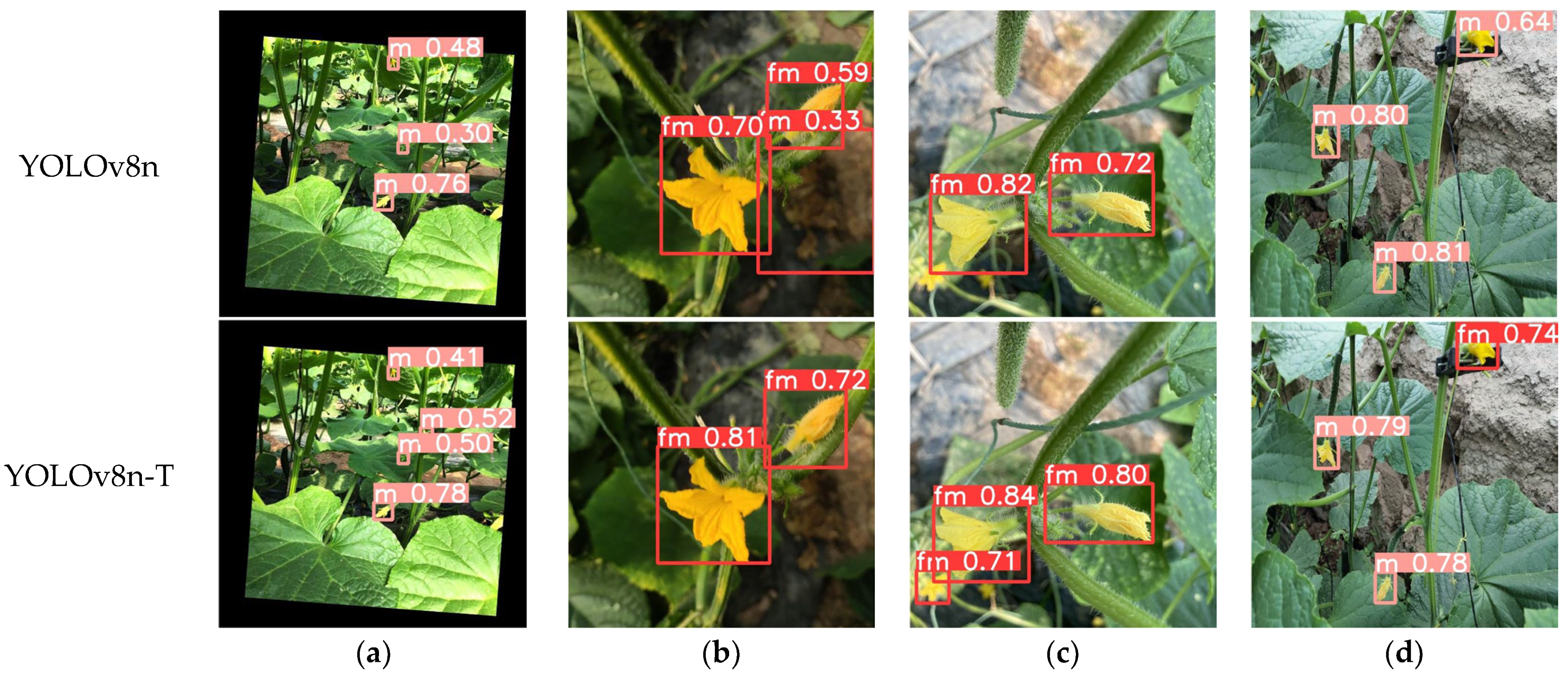 Agronomy 15 01744 g008
