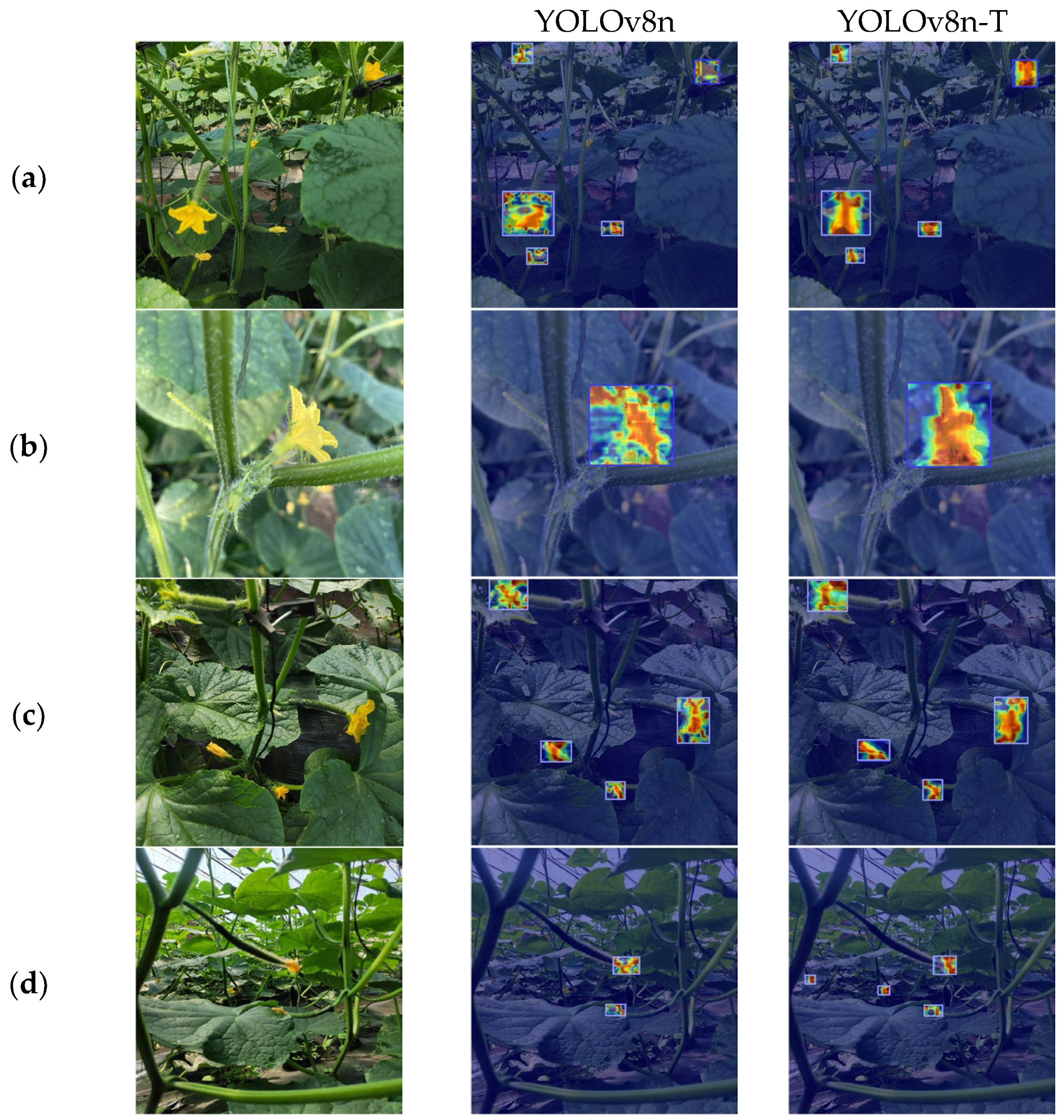 Agronomy 15 01744 g010