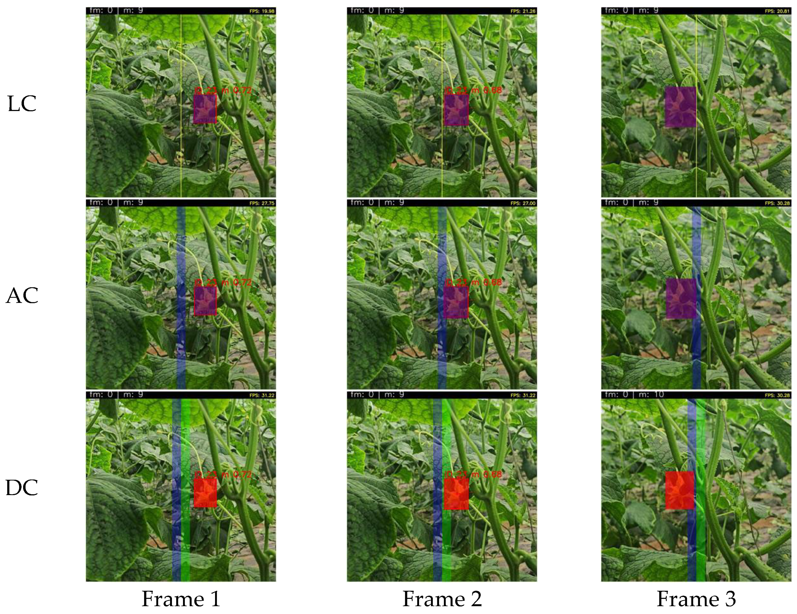 Agronomy 15 01744 g012