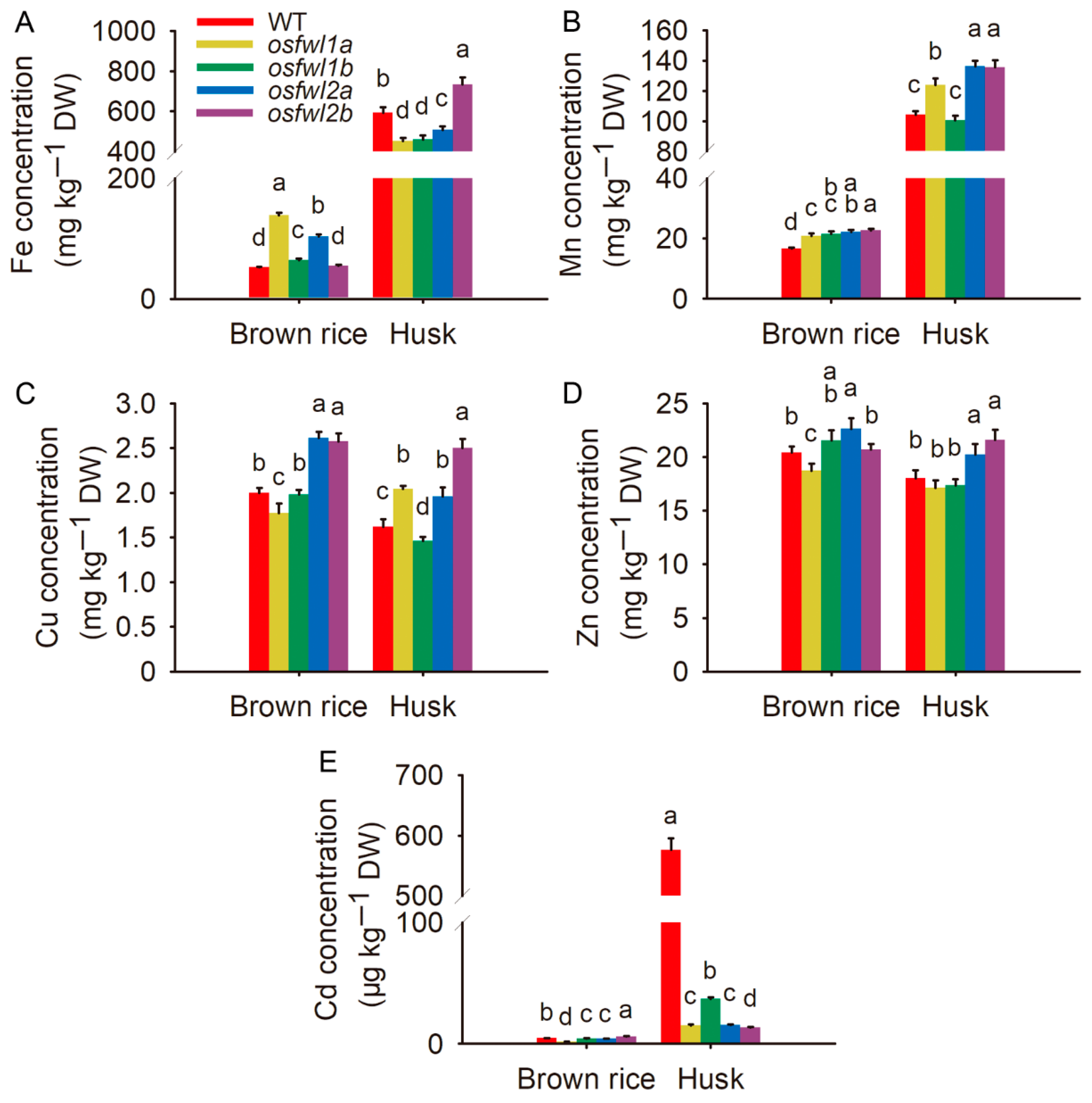 Agronomy 15 01747 g001