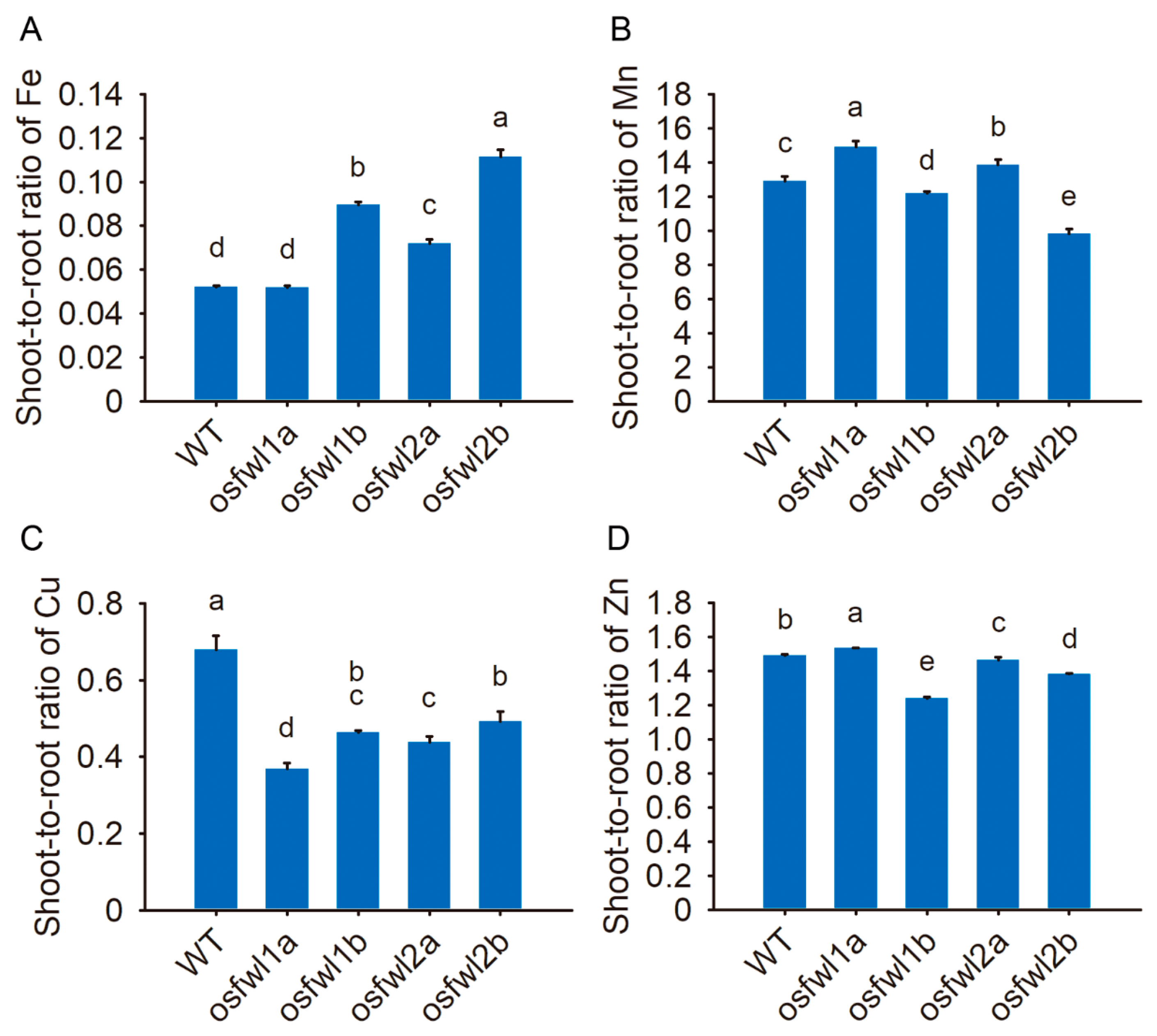 Agronomy 15 01747 g004
