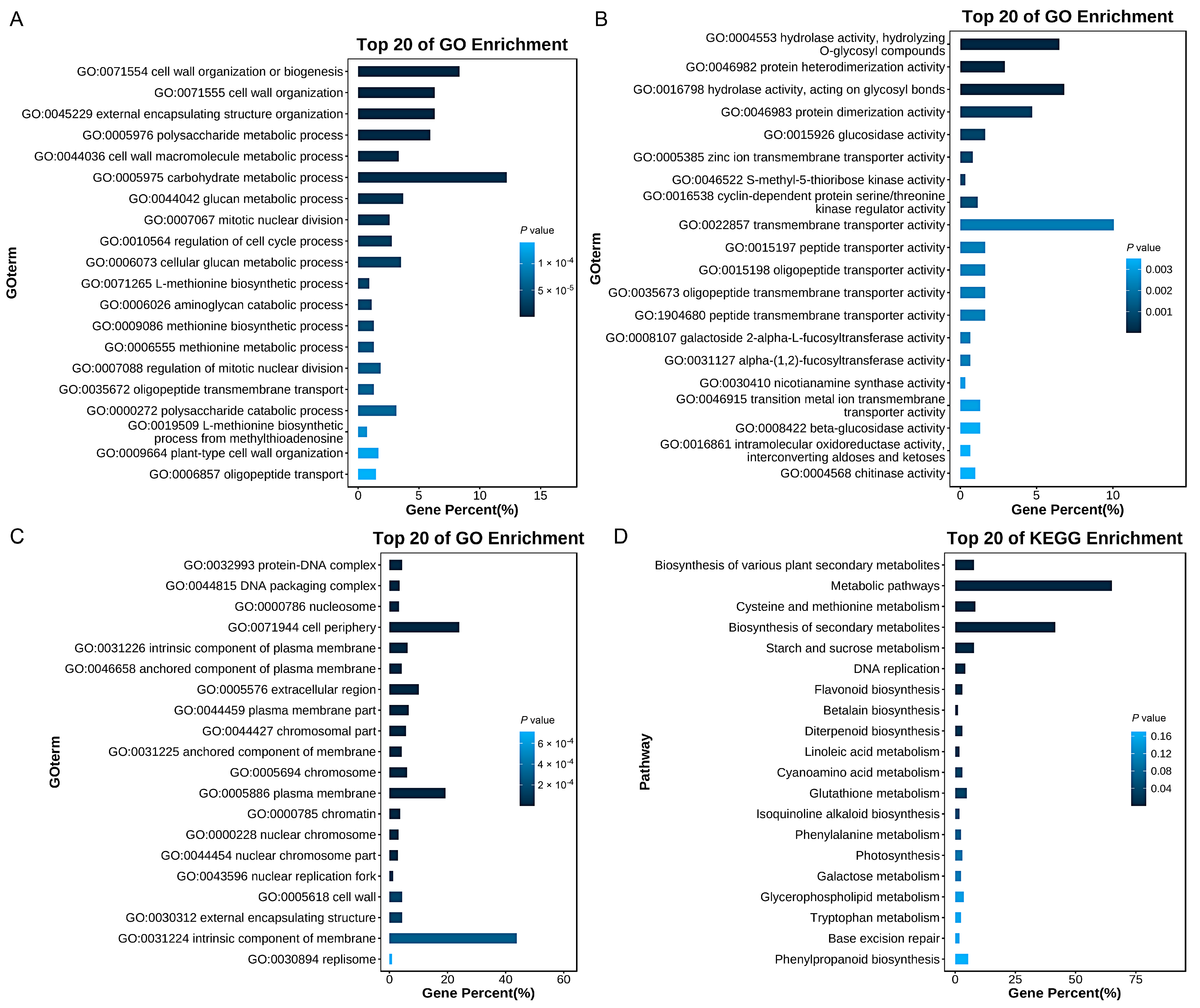 Agronomy 15 01747 g006