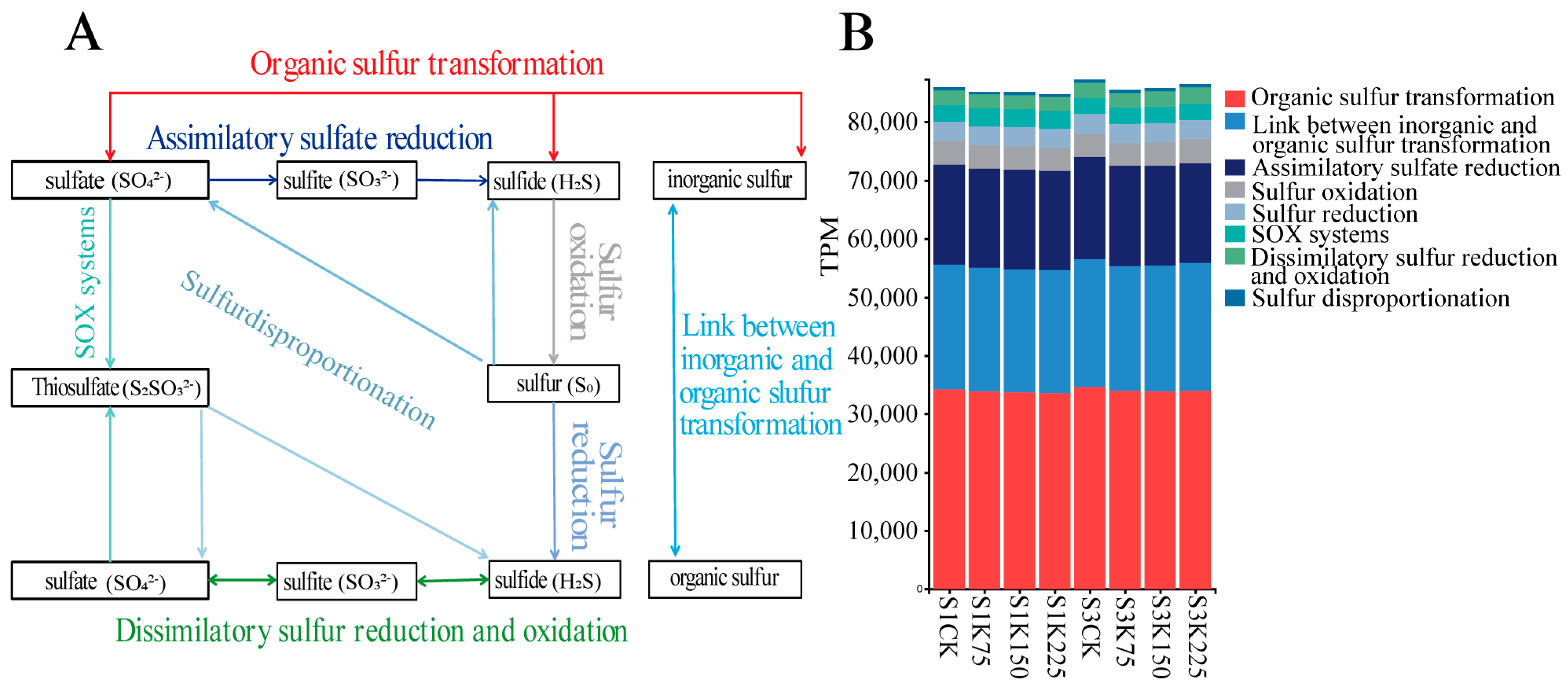 Agronomy 15 01752 g003