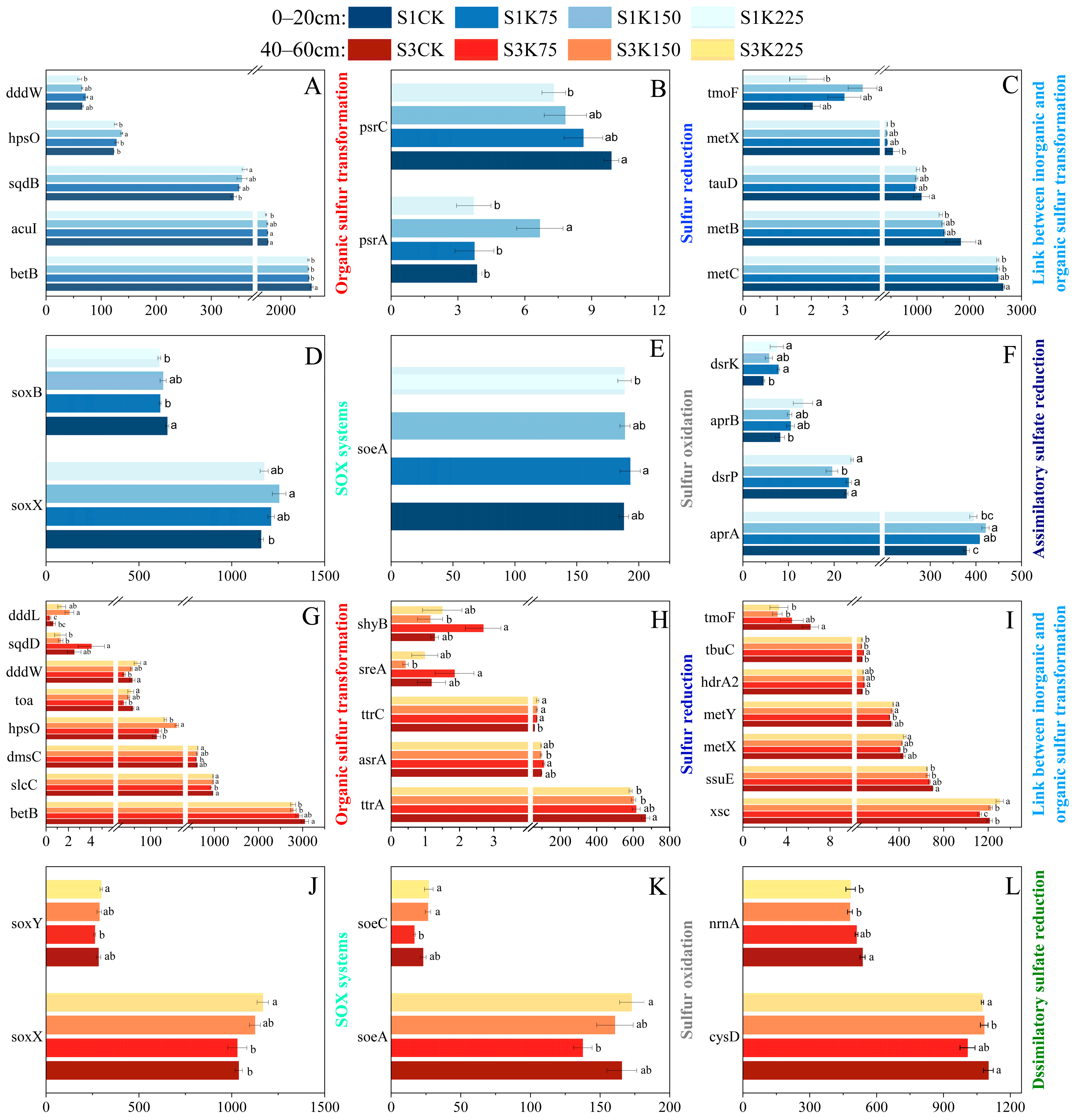 Agronomy 15 01752 g004