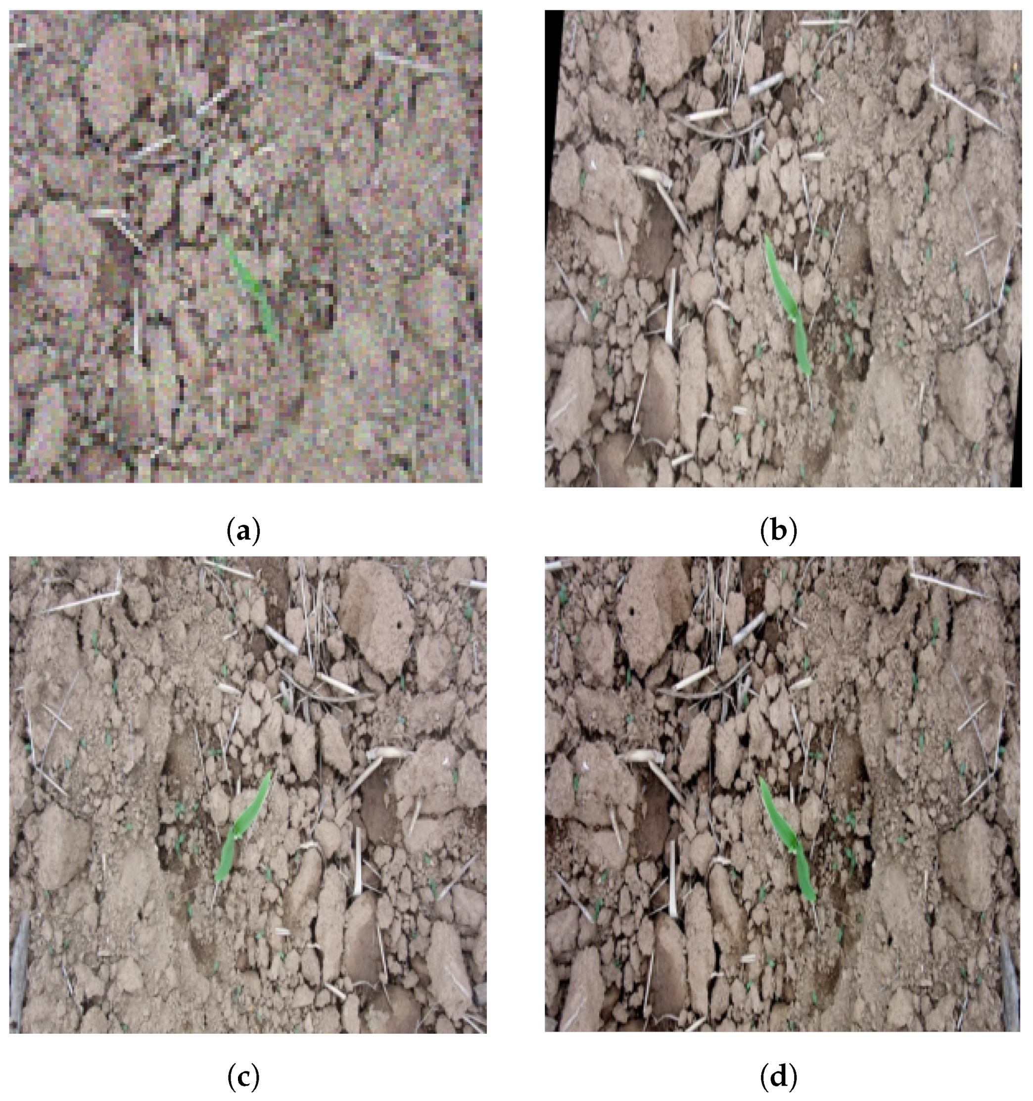 Agronomy 15 01788 g001
