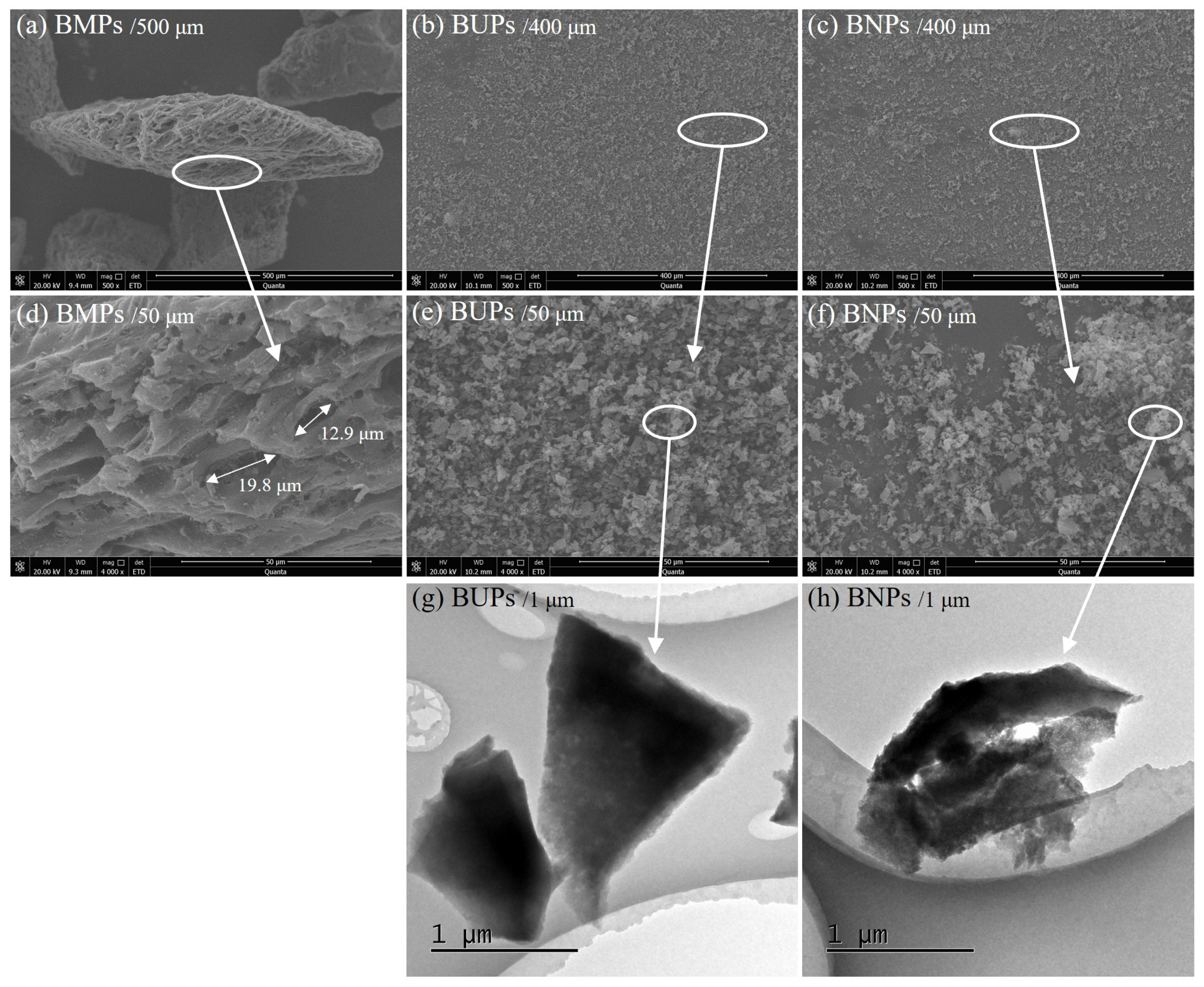 Agronomy 15 01830 g001