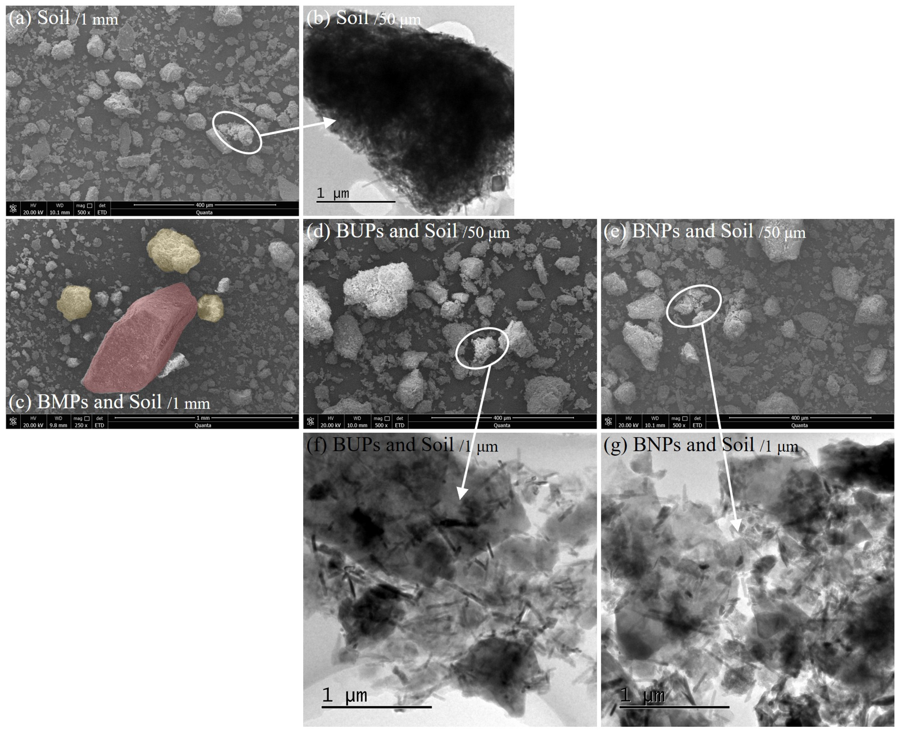 Agronomy 15 01830 g002