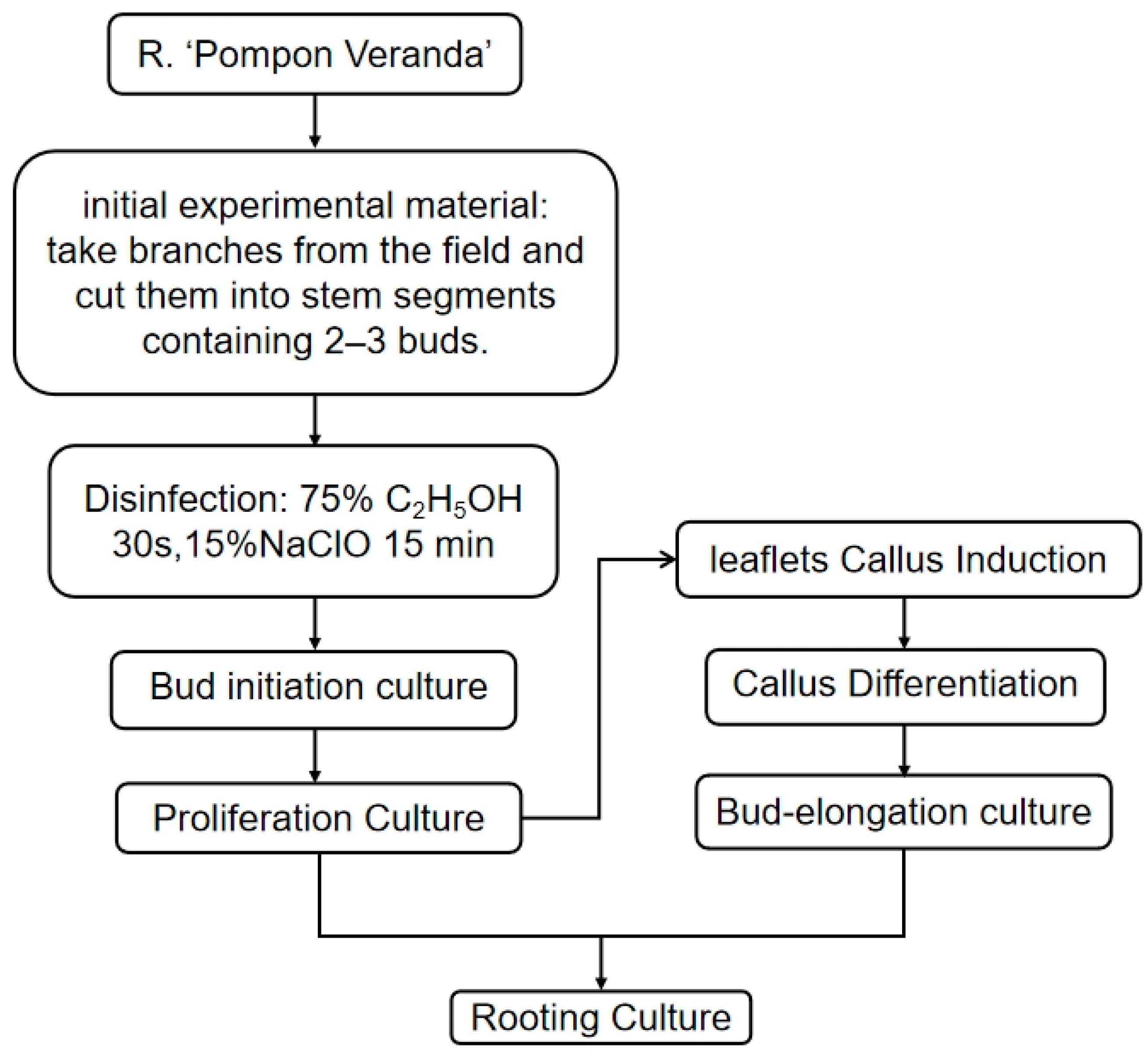 Agronomy 15 01834 g001