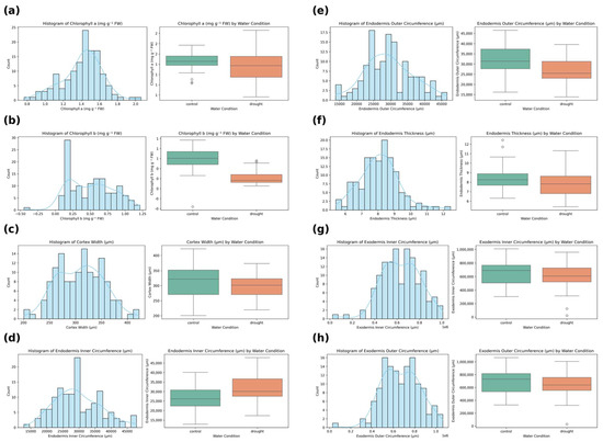 Agronomy 15 01840 g0a1