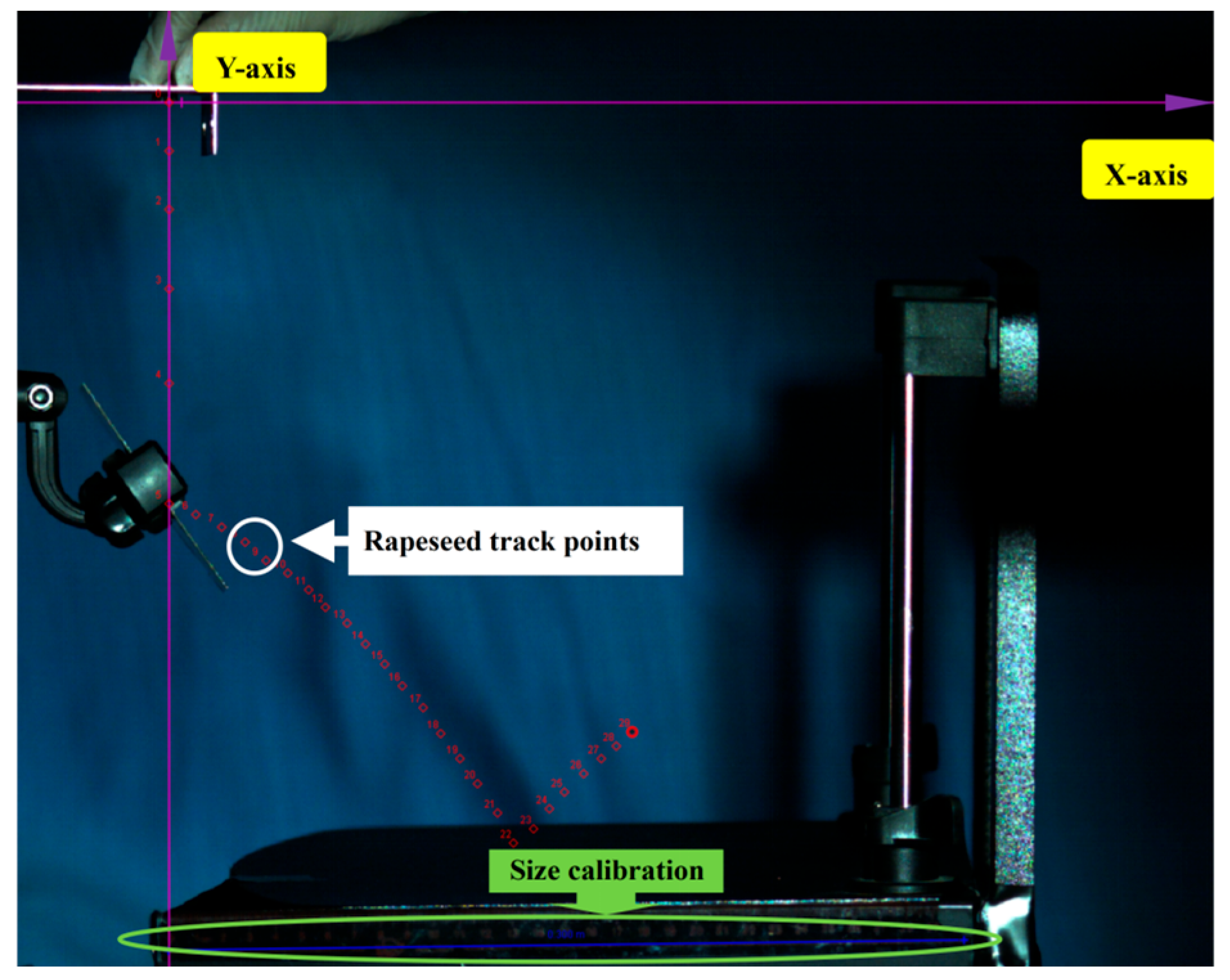 Agronomy 15 01872 g002