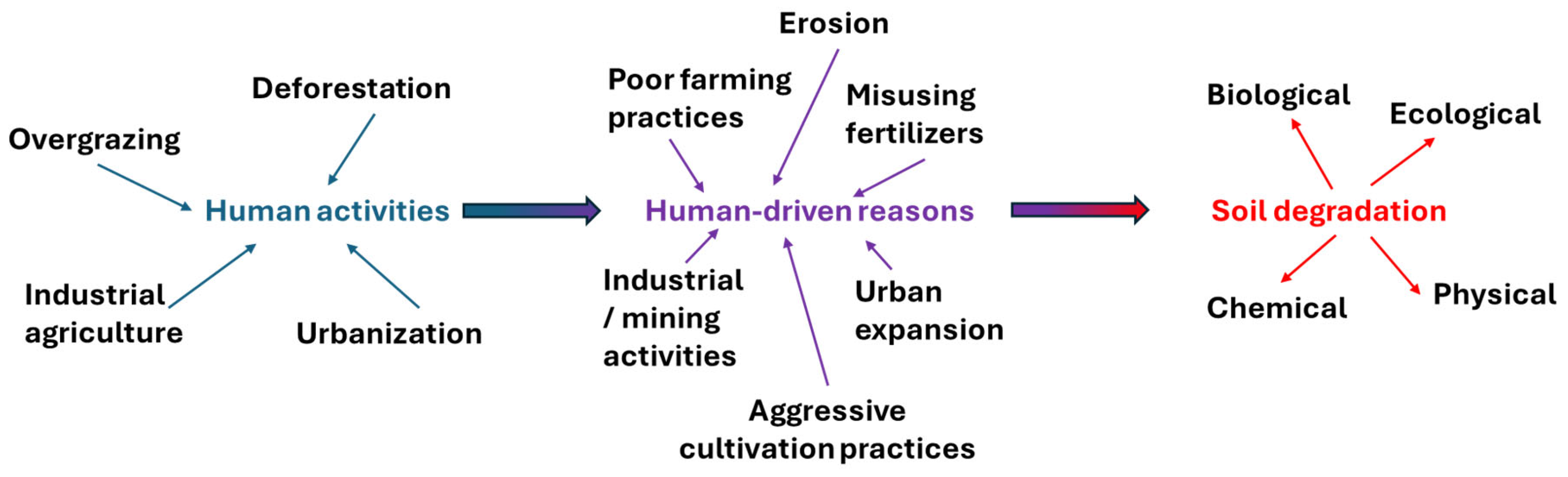 Agronomy 15 01920 g001