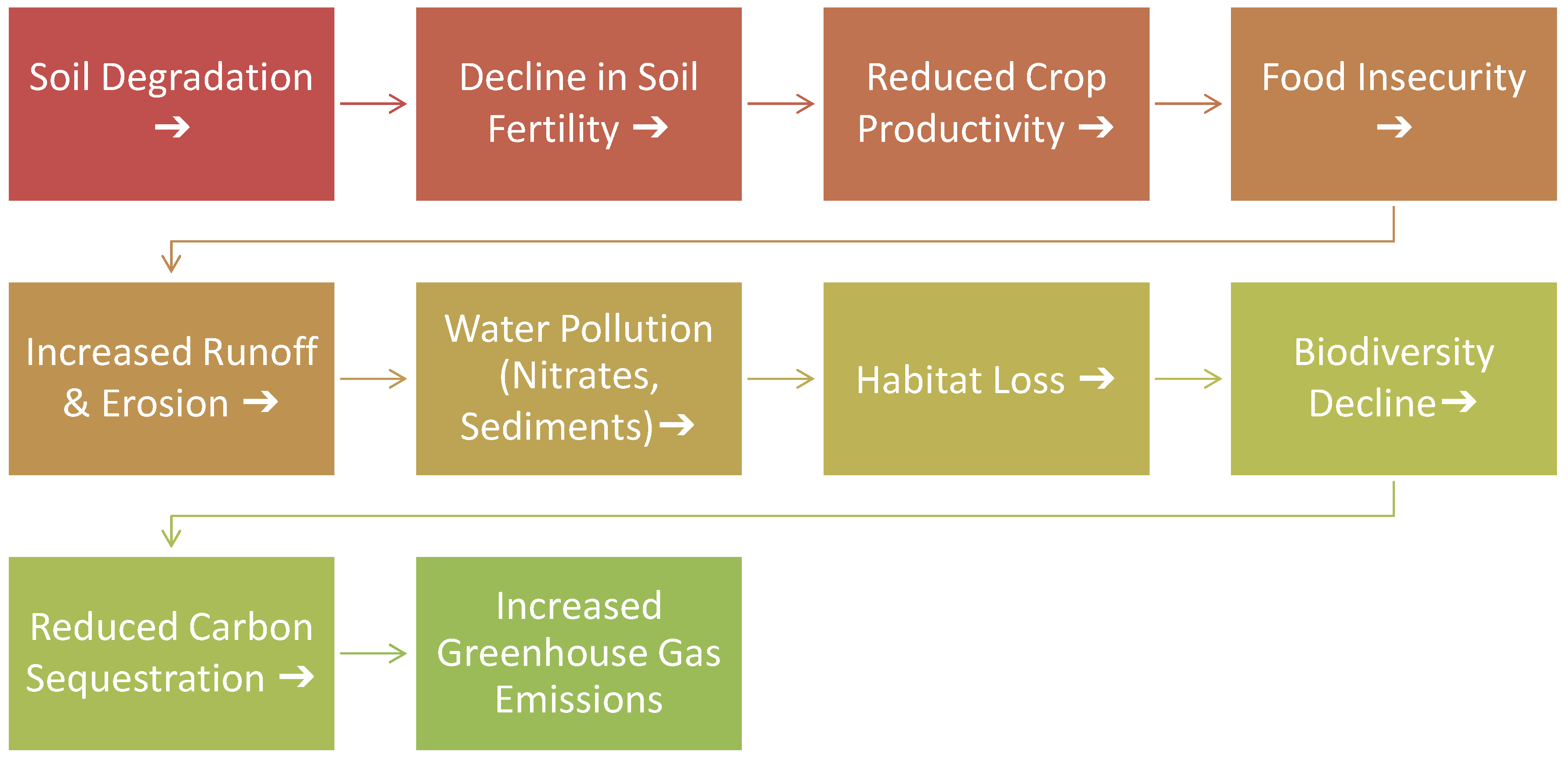 Agronomy 15 01920 g002