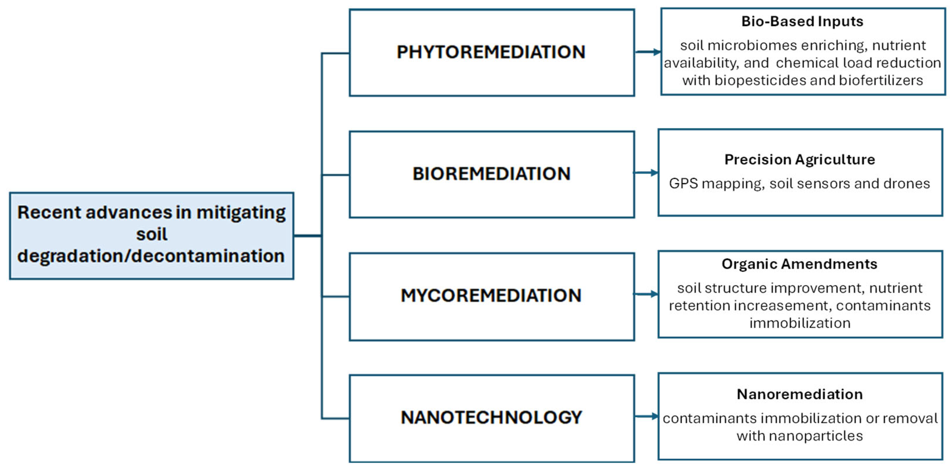 Agronomy 15 01920 g003