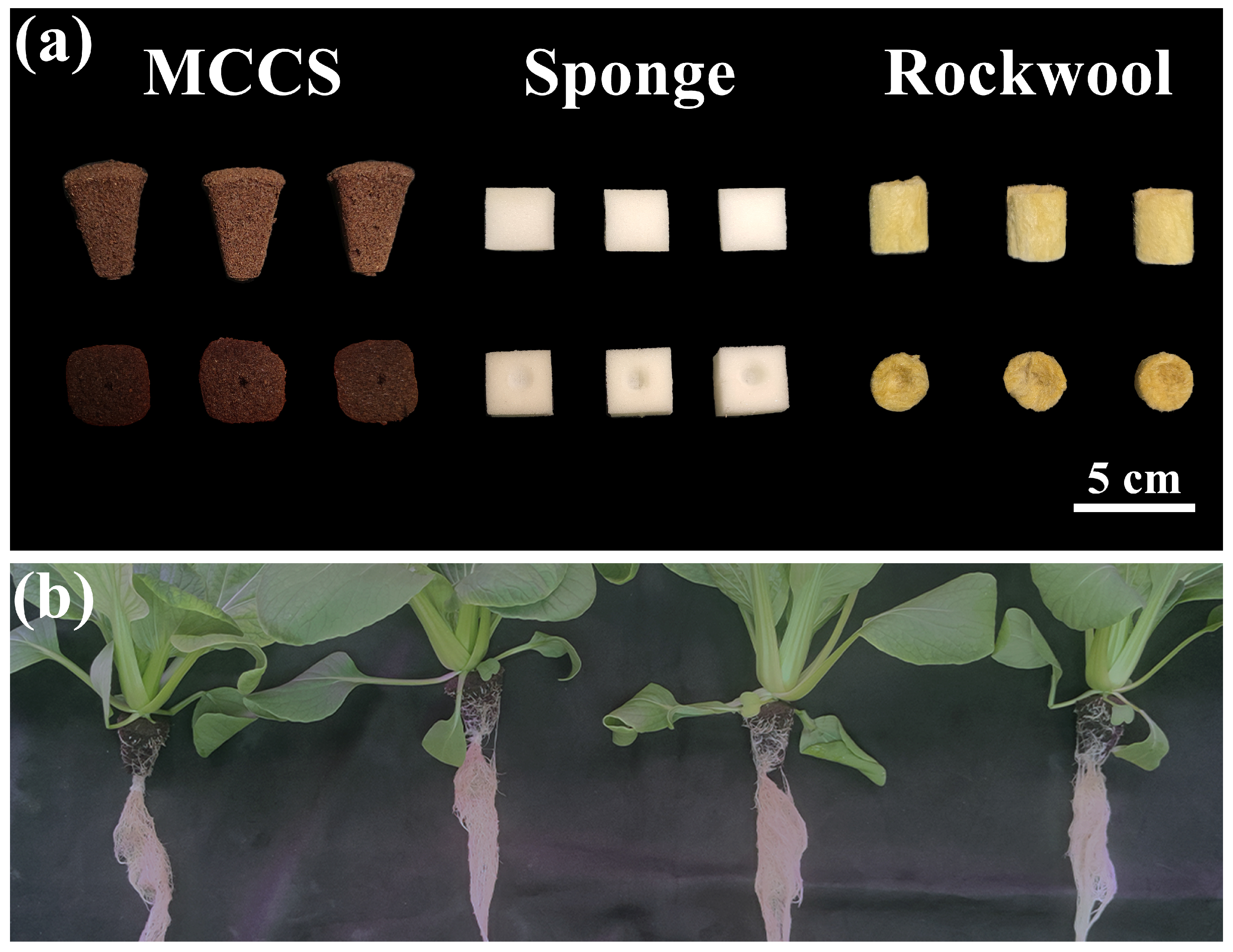 Agronomy 15 01929 g001