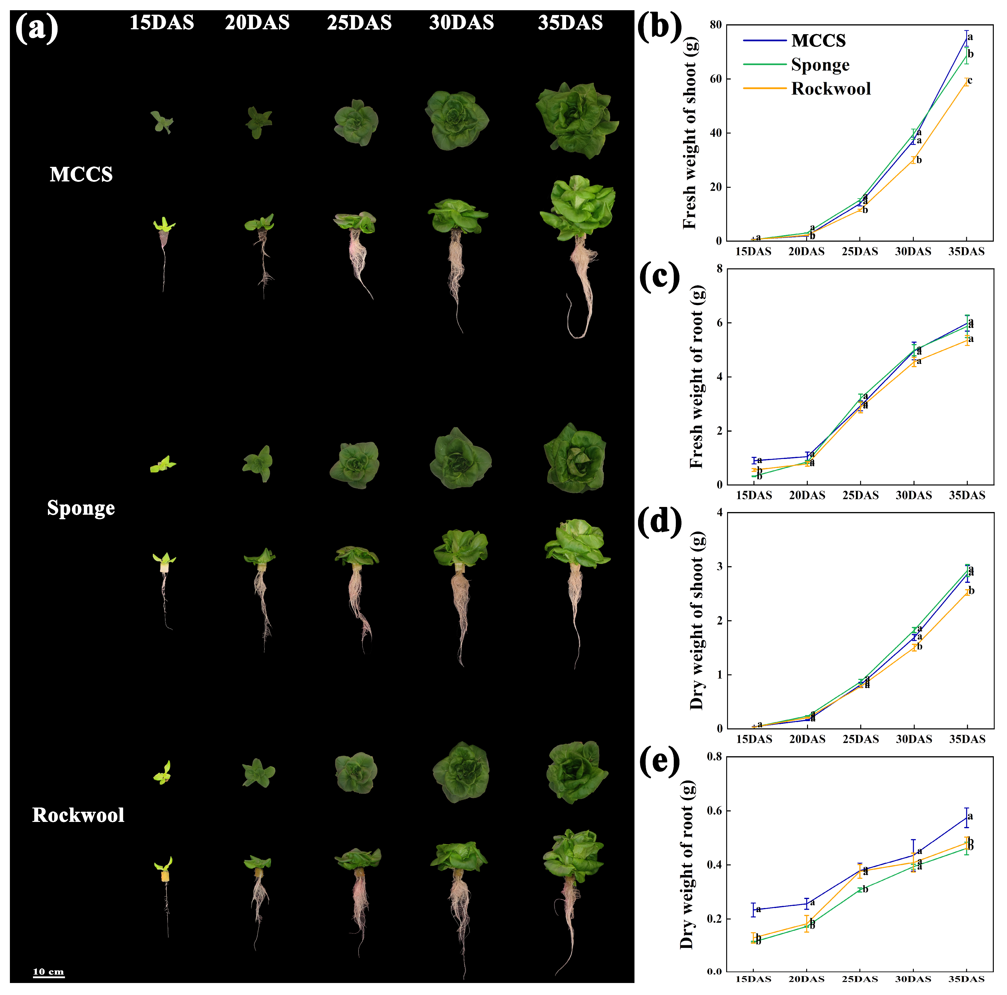 Agronomy 15 01929 g002