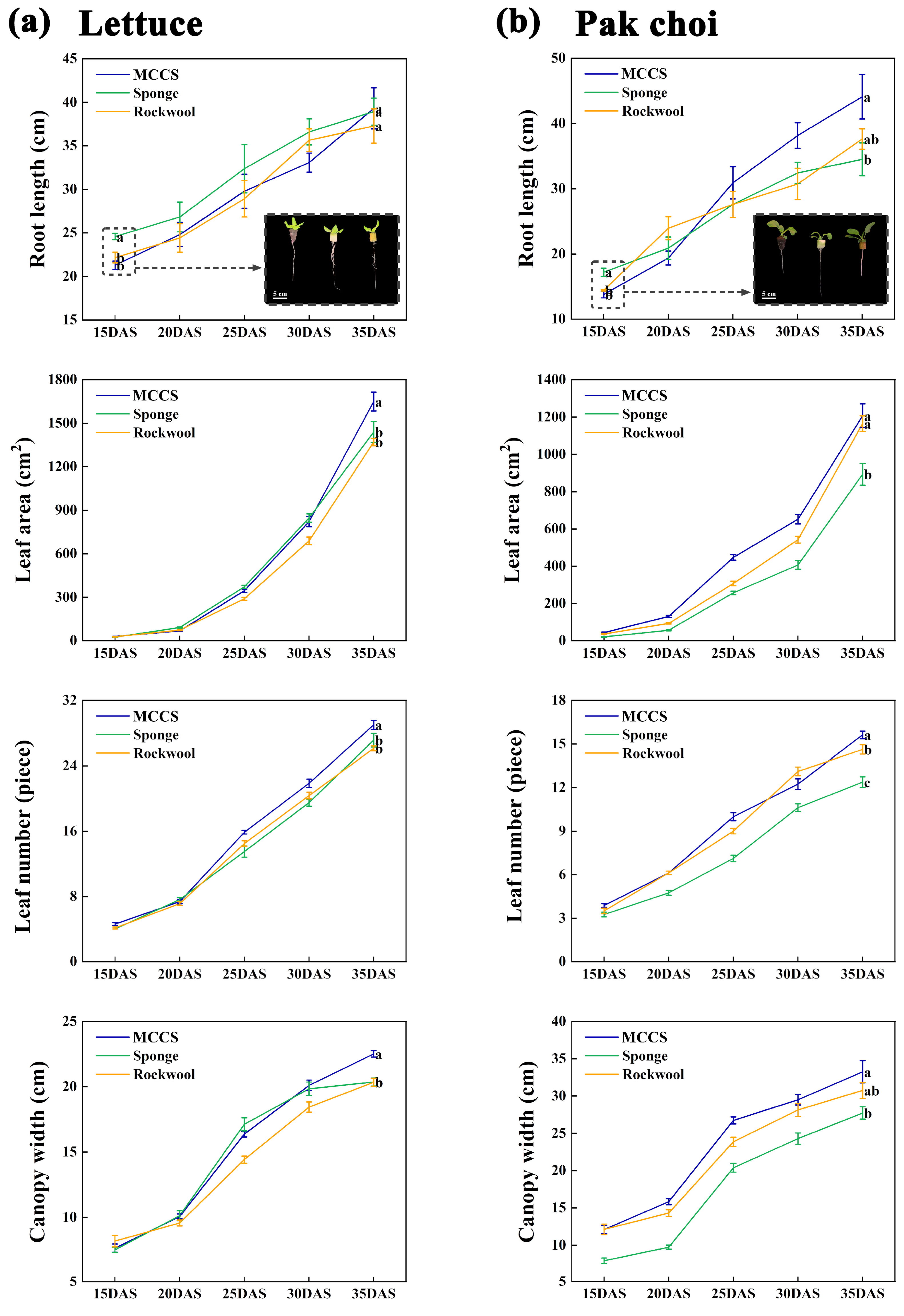 Agronomy 15 01929 g004