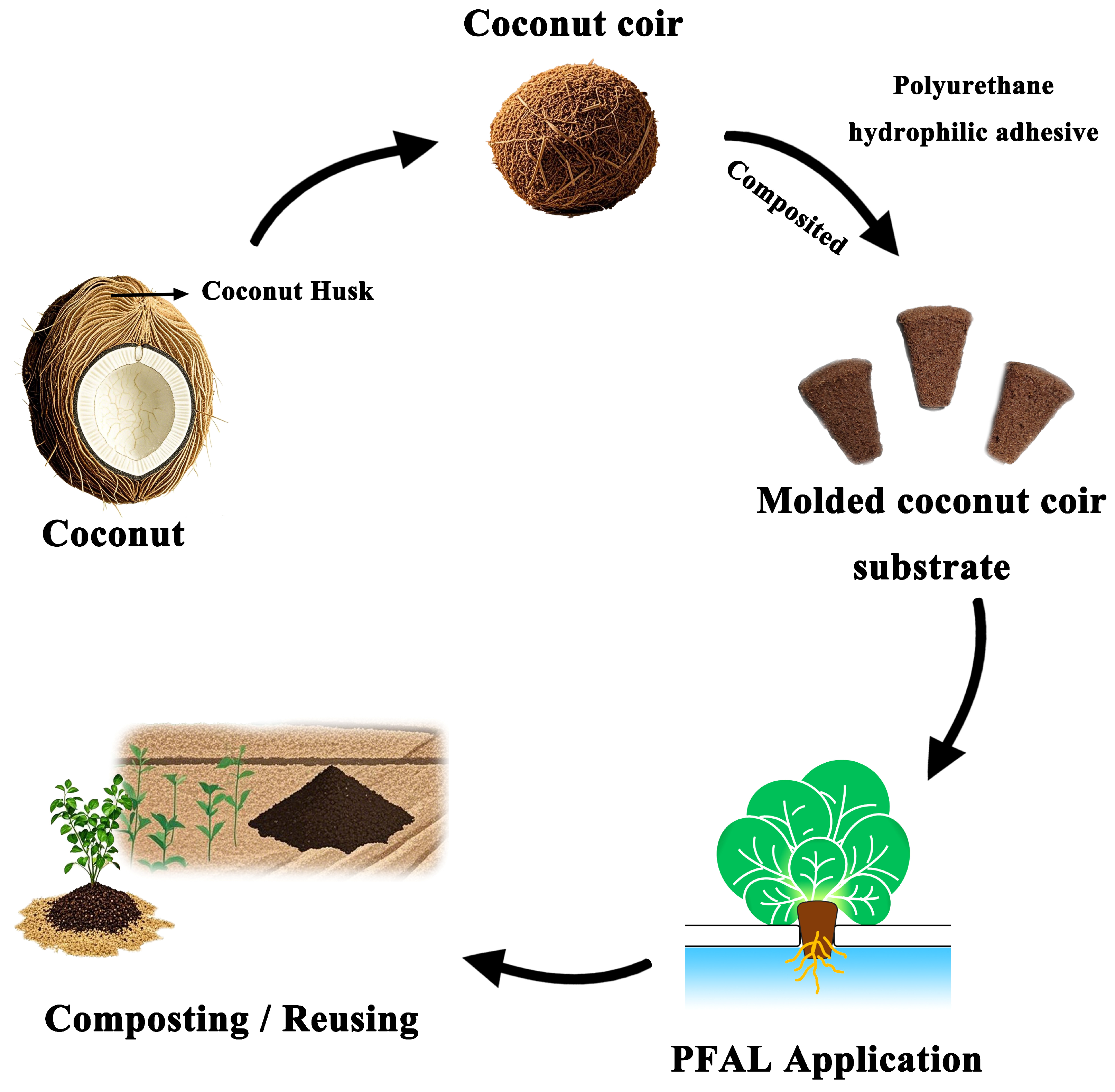 Agronomy 15 01929 g008