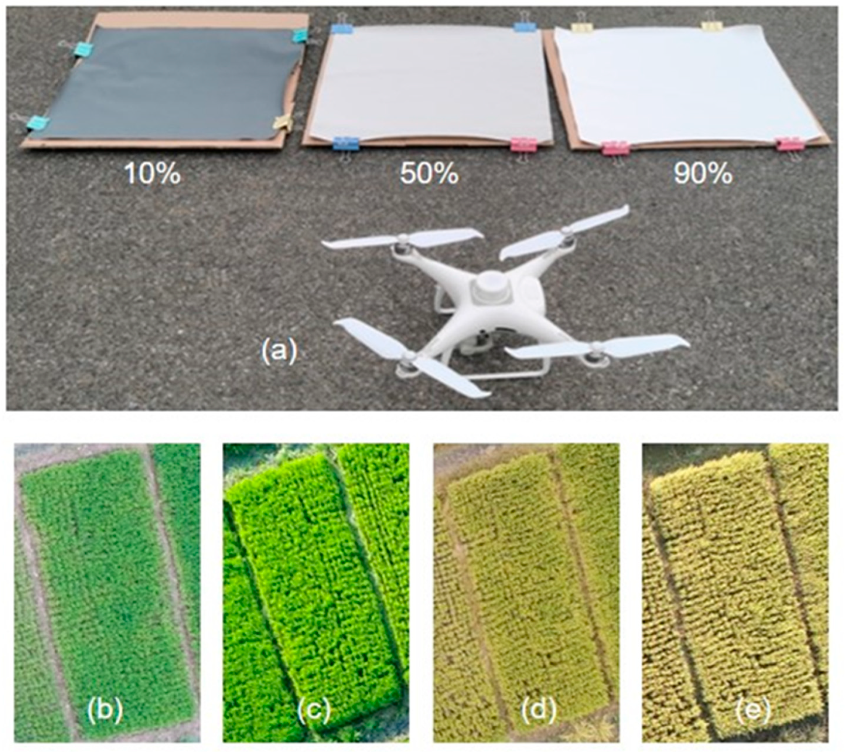 Agronomy 15 01946 g003