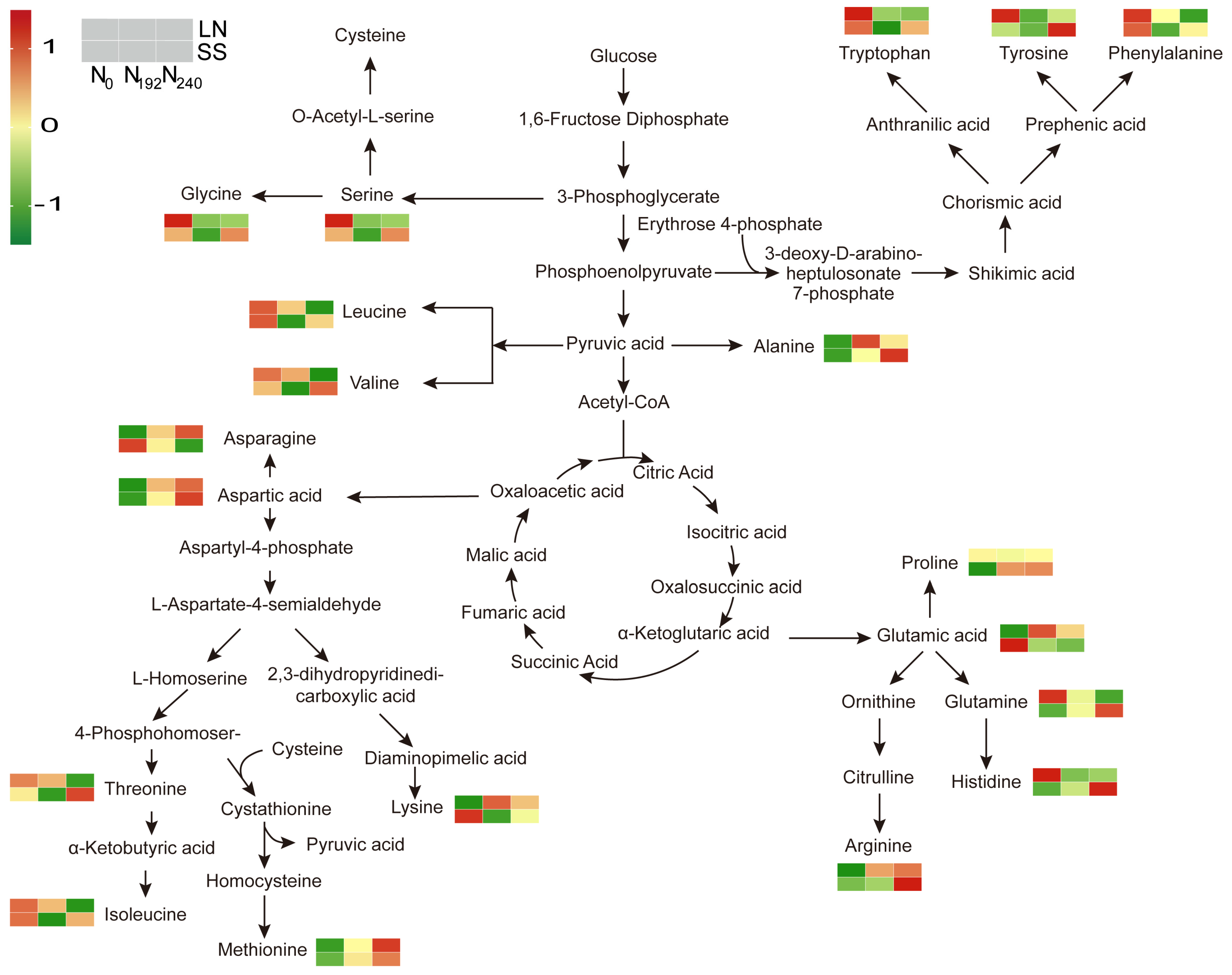 Agronomy 15 01949 g006 Agronomy 15 01949 g006