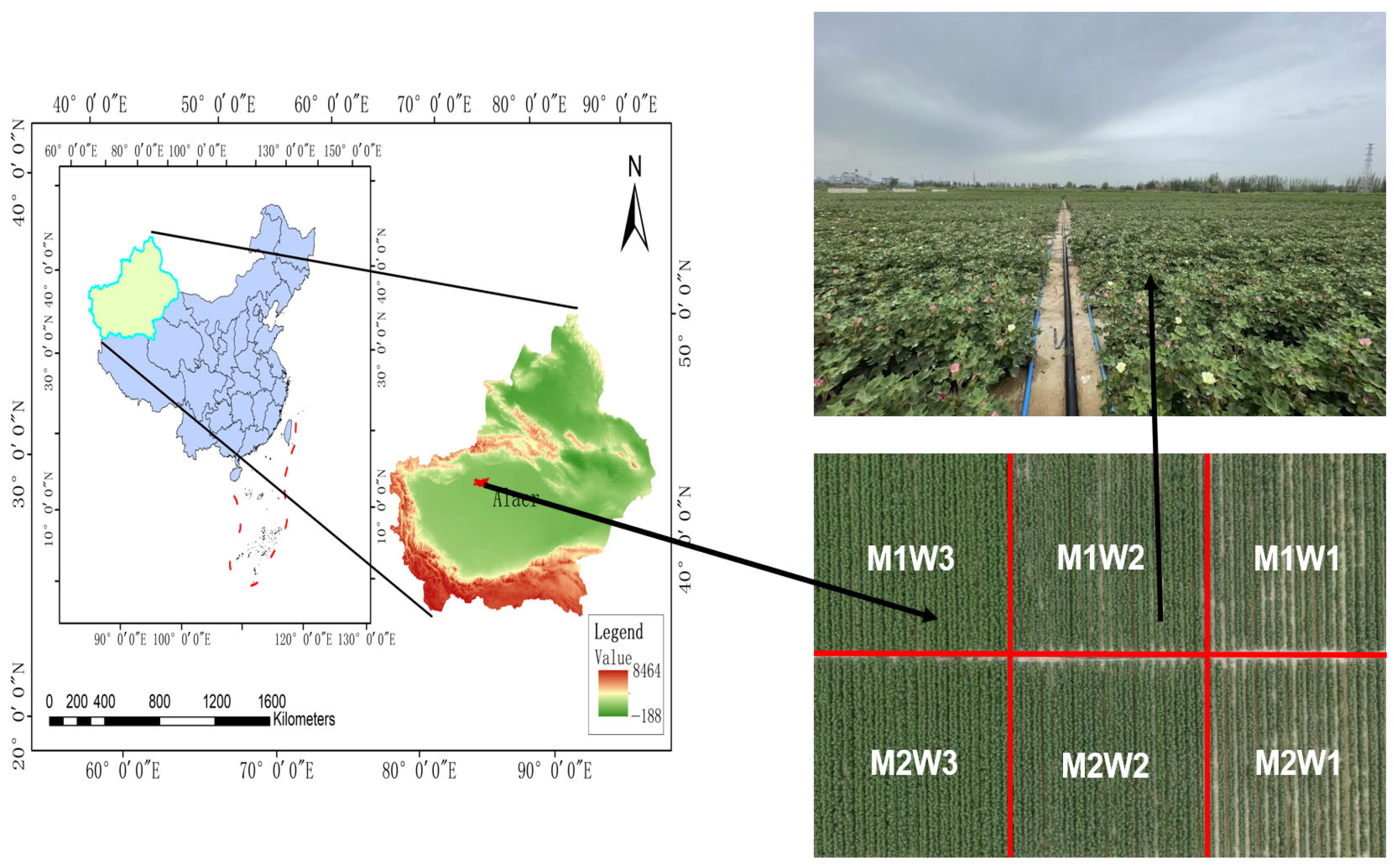 Agronomy 15 01964 g001