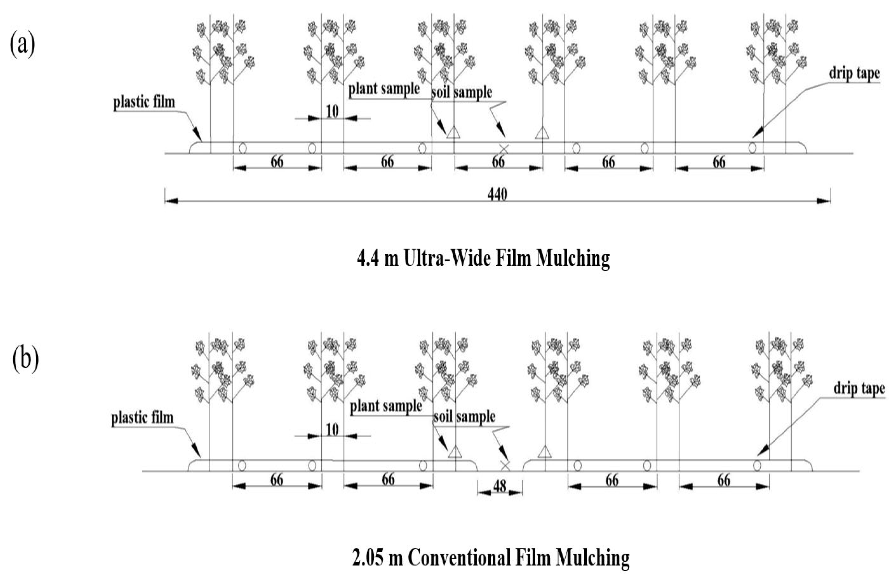 Agronomy 15 01964 g003