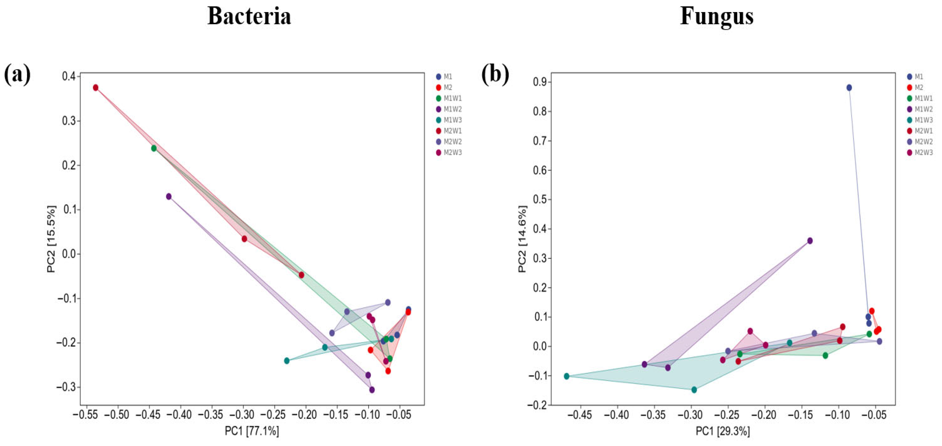 Agronomy 15 01964 g011