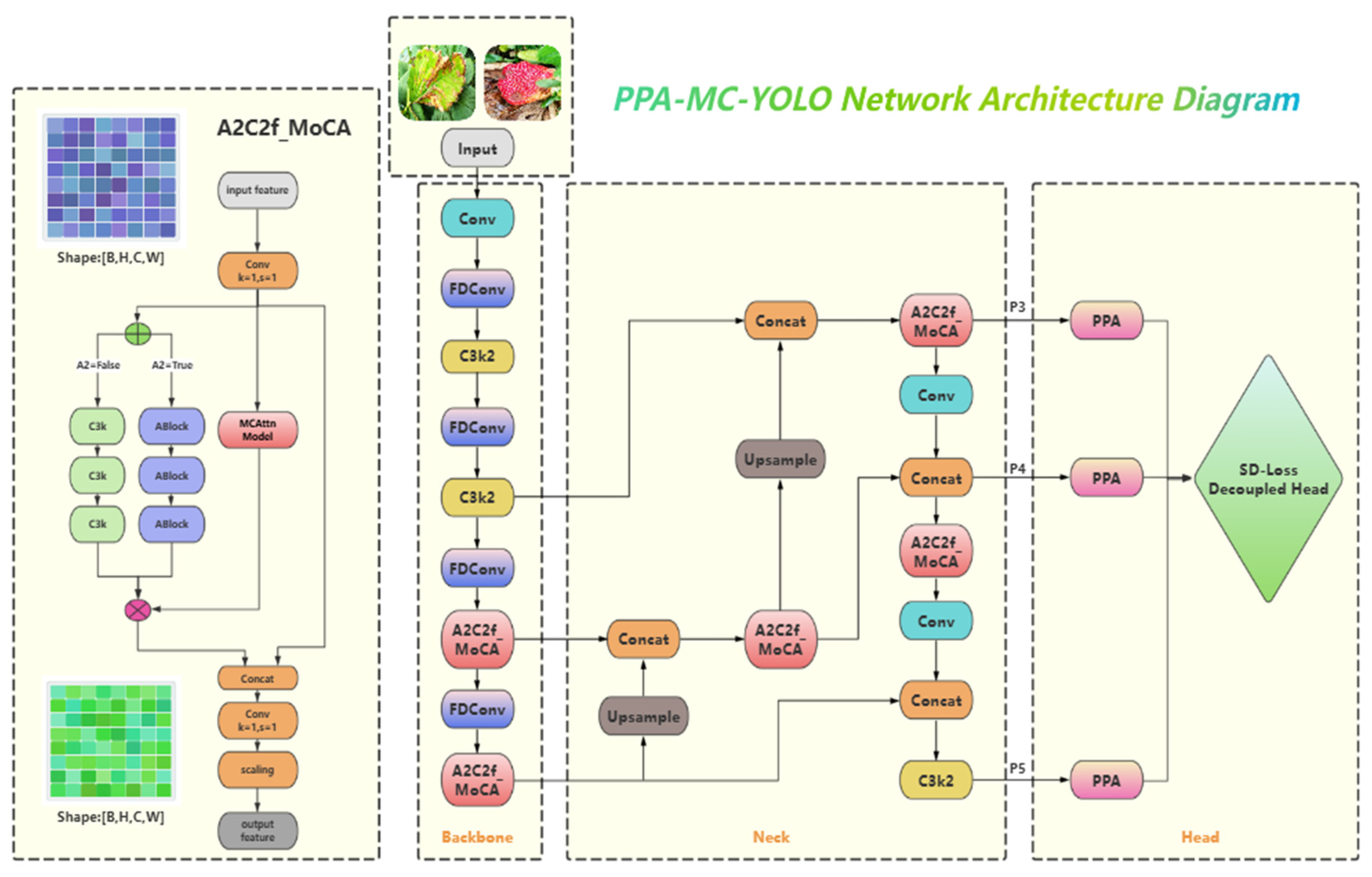 Agronomy 15 01969 g004