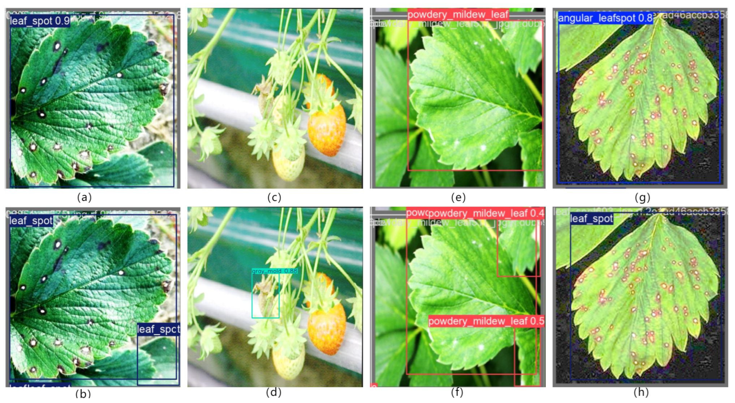 Agronomy 15 01969 g006