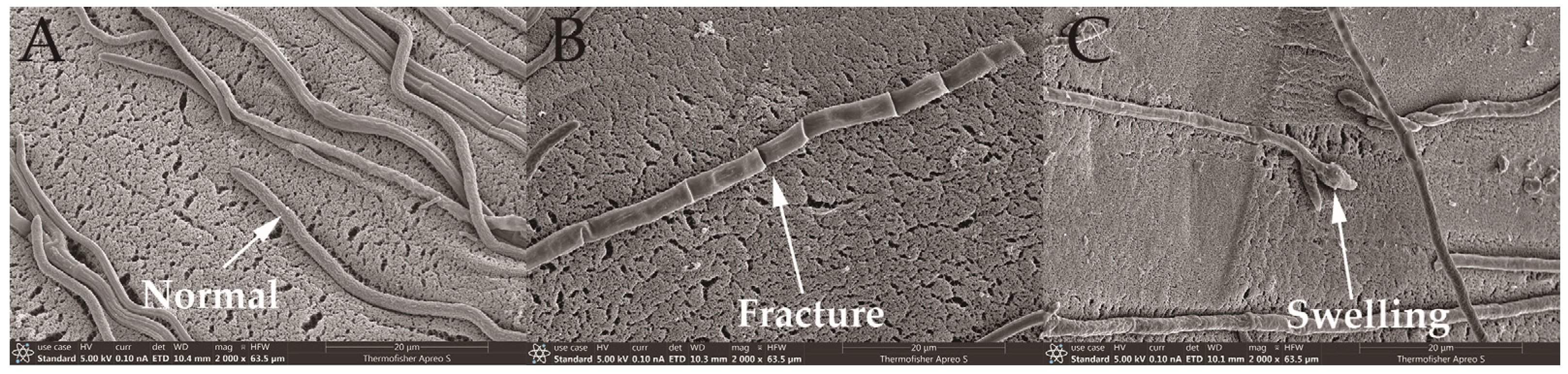 Agronomy 15 01997 g004