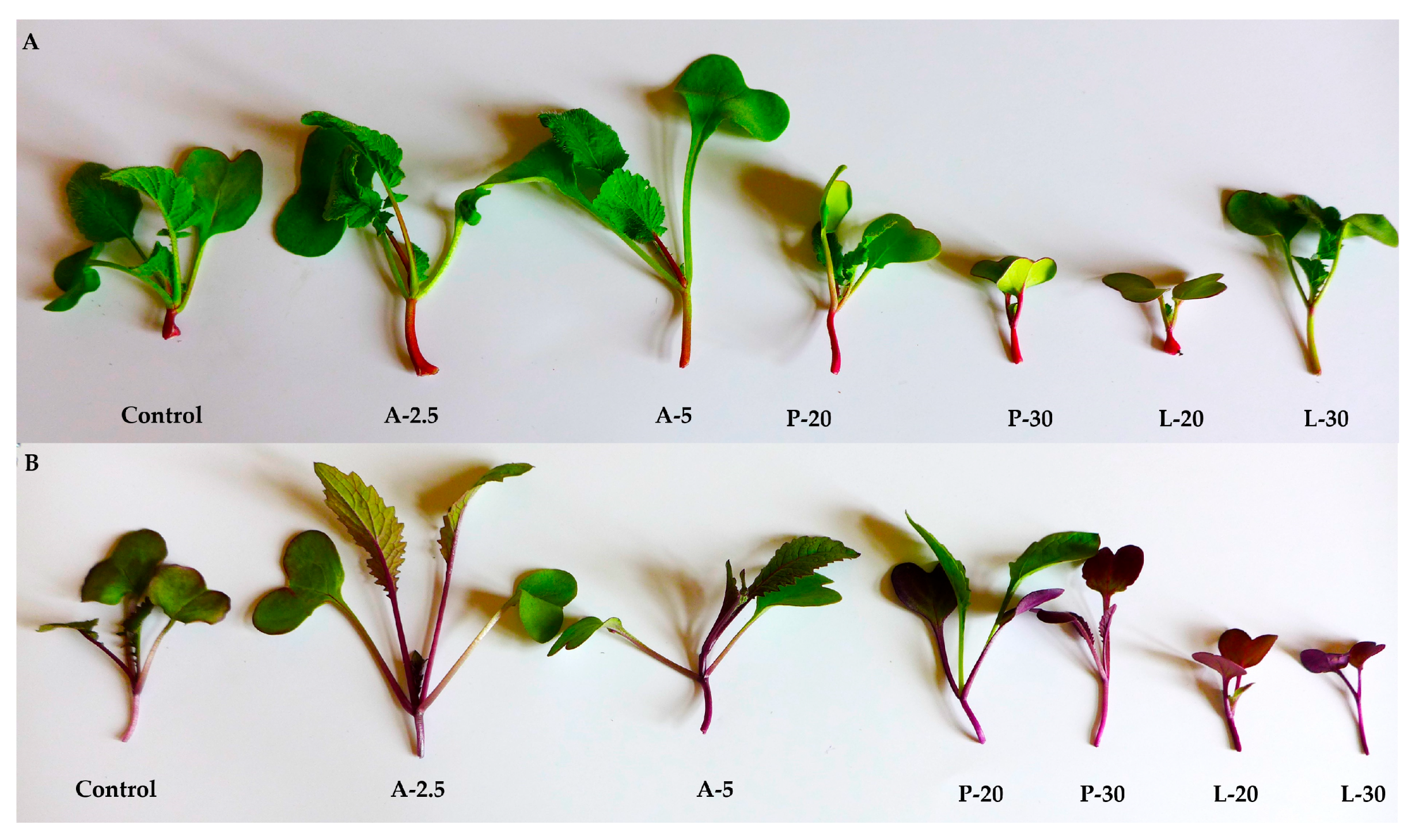 Agronomy 15 02012 g001
