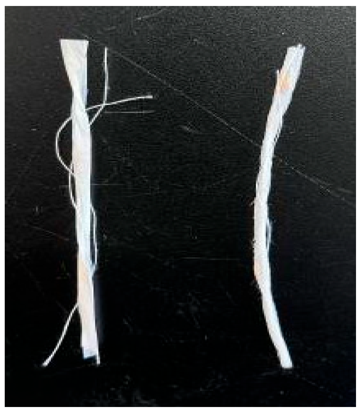 Agronomy 15 02065 g001