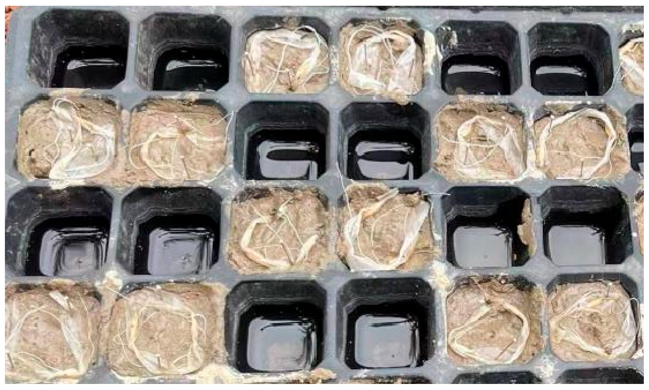 Agronomy 15 02065 g003