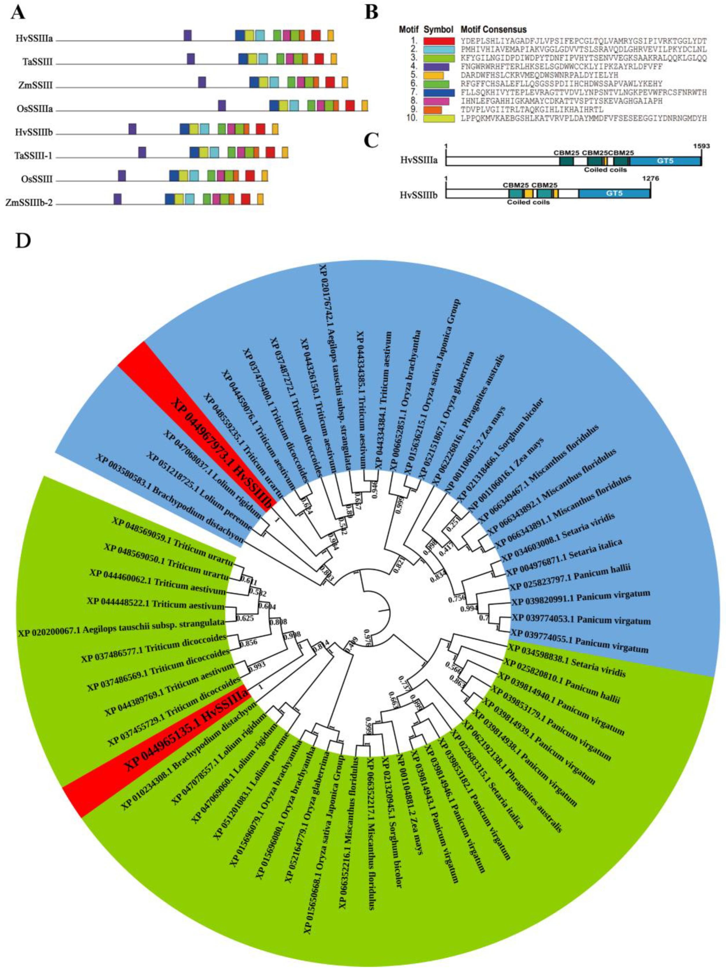 Agronomy 15 02091 g001 Agronomy 15 02091 g001
