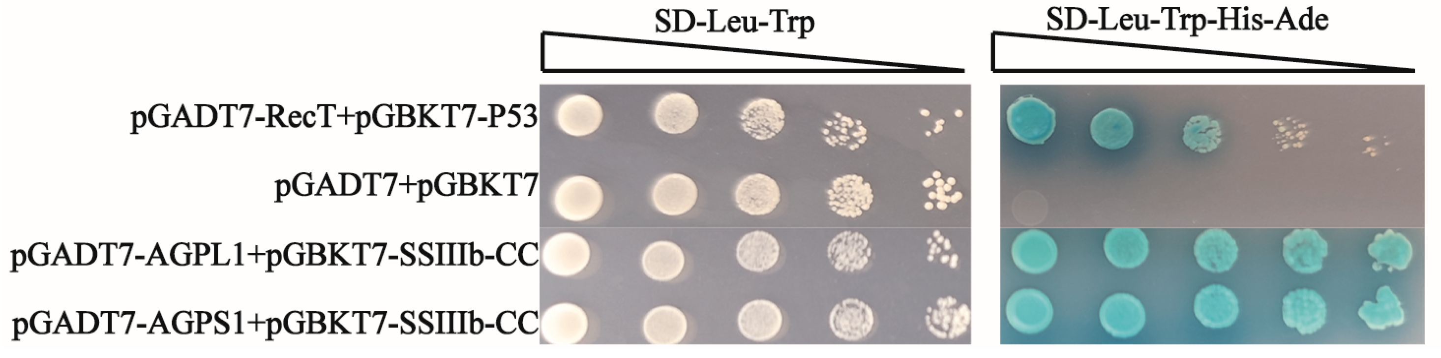 Agronomy 15 02091 g006 Agronomy 15 02091 g006
