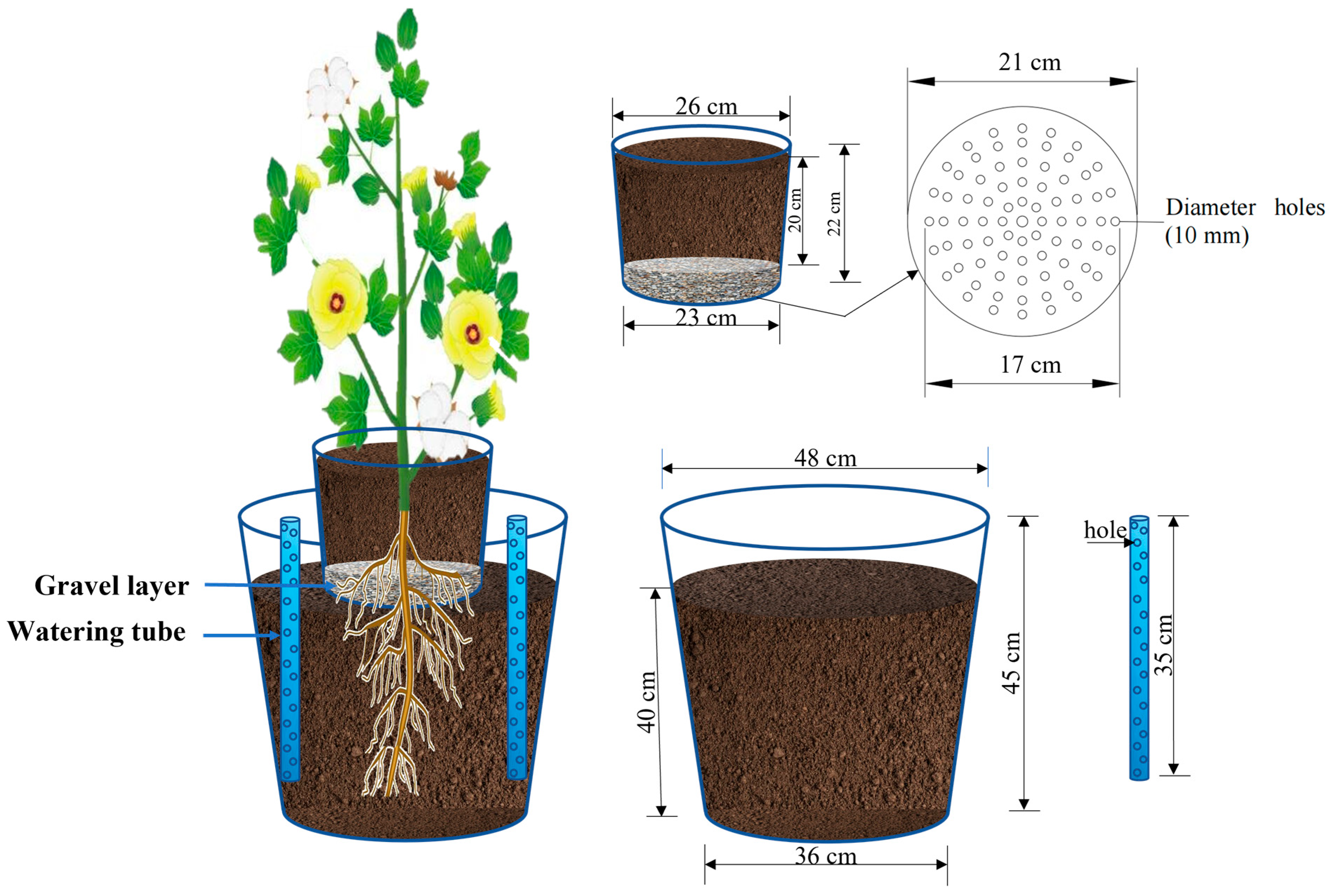 Agronomy 15 02094 g002 Agronomy 15 02094 g002