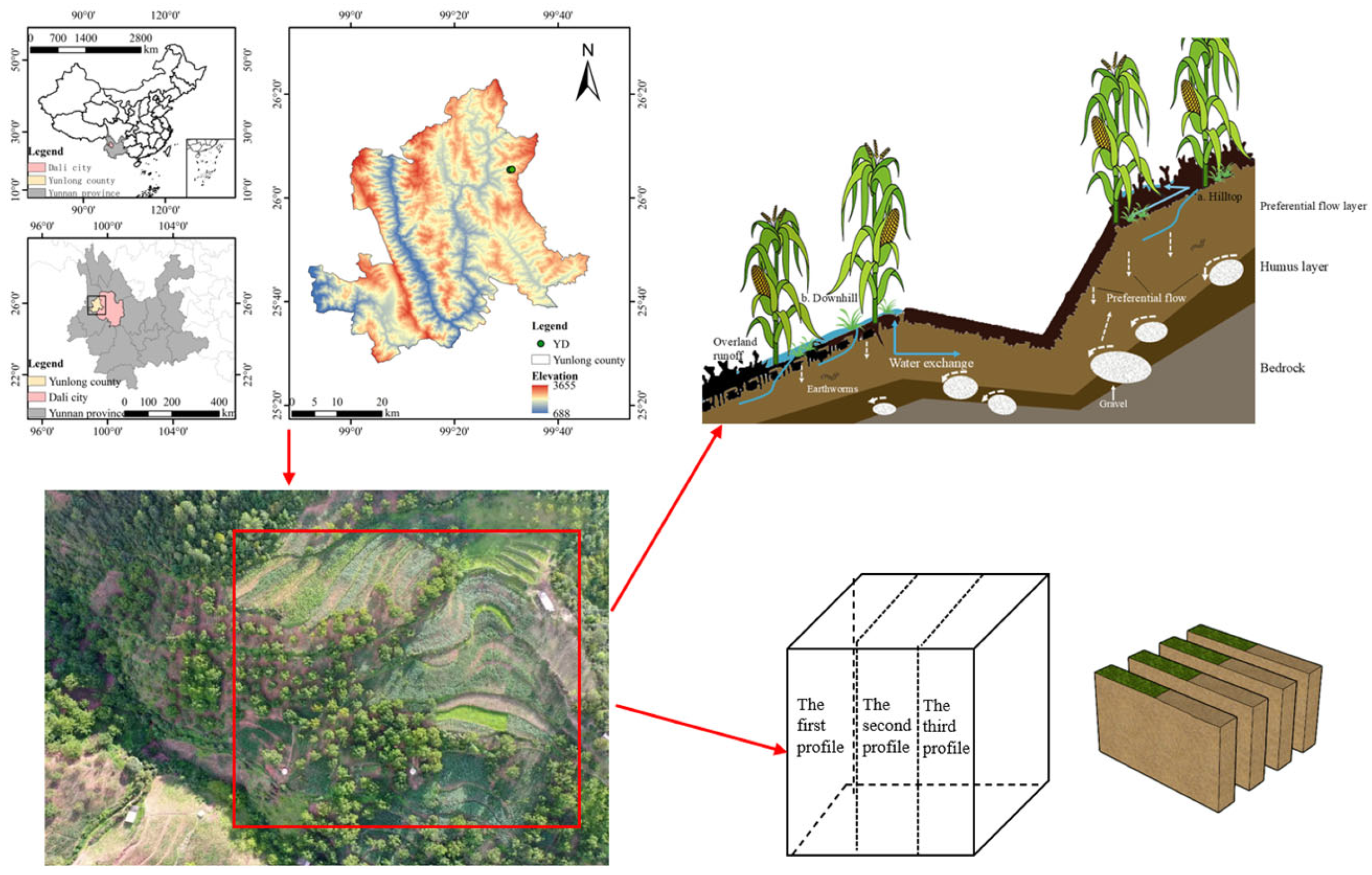 Agronomy 15 02101 g001