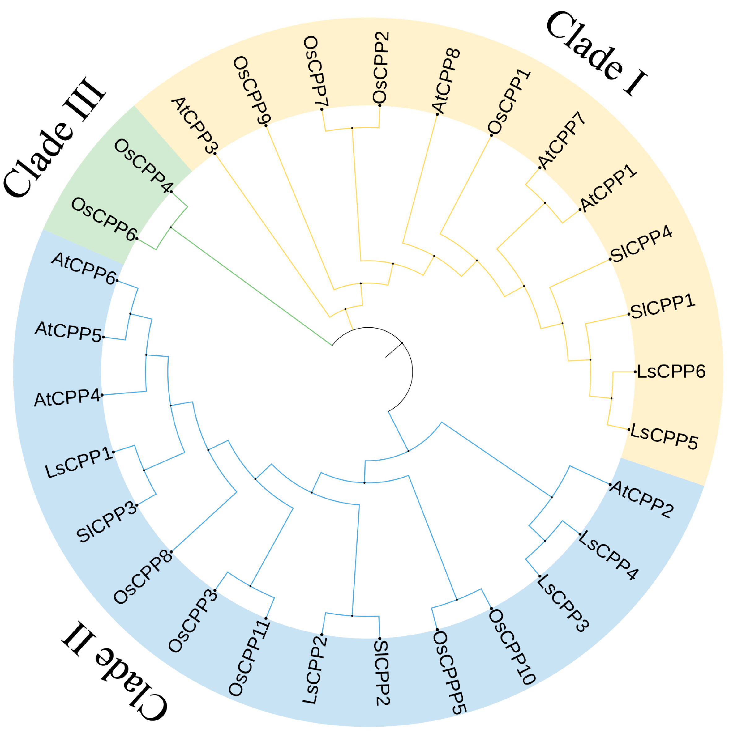 Agronomy 15 02120 g001