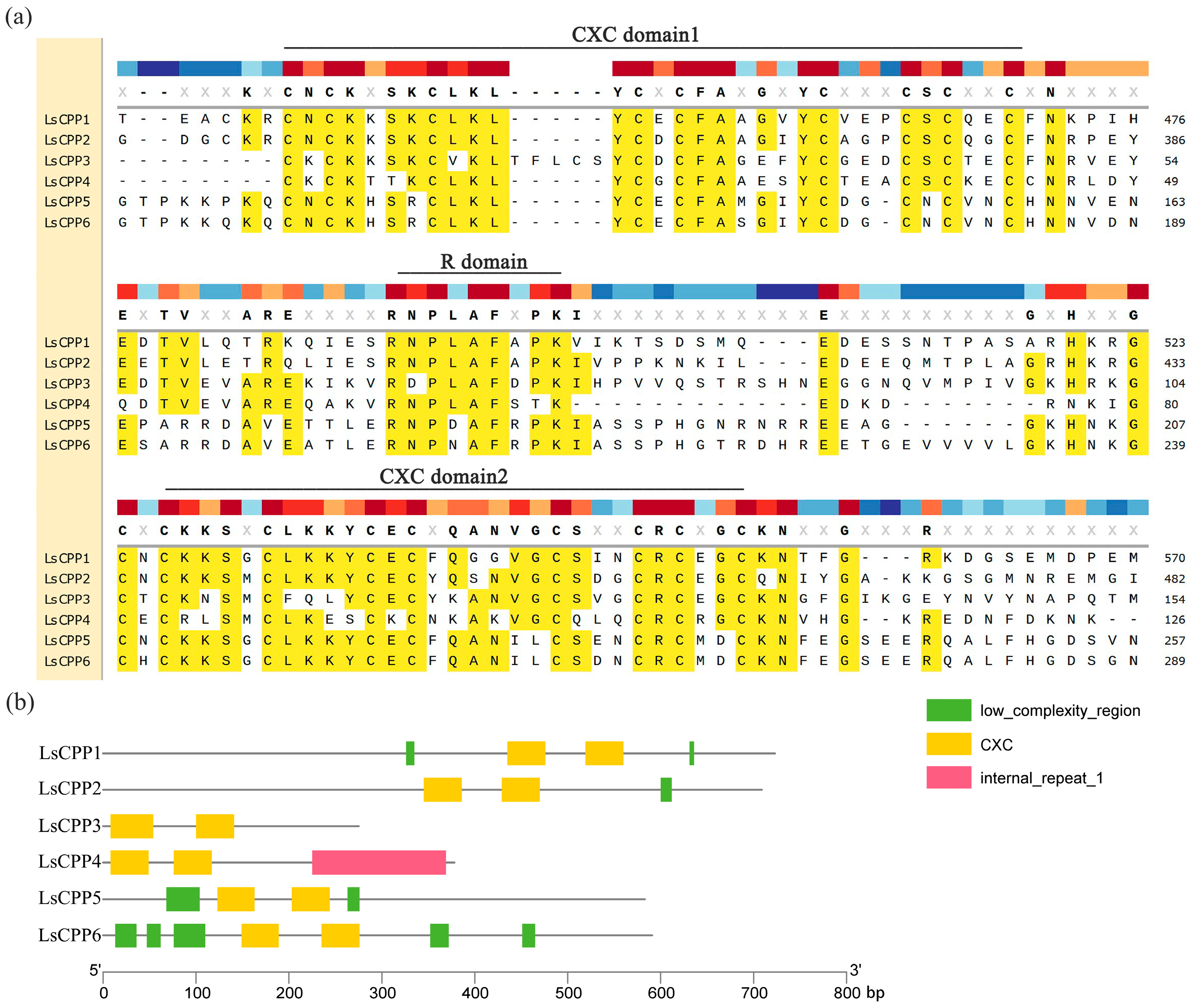 Agronomy 15 02120 g002