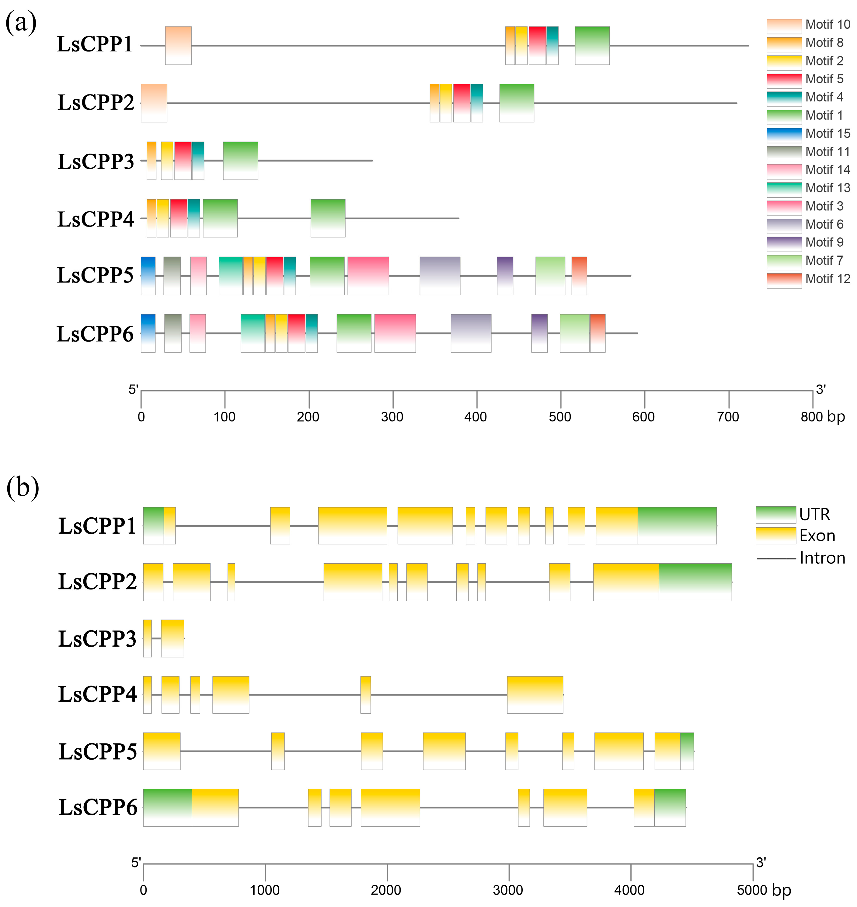 Agronomy 15 02120 g003