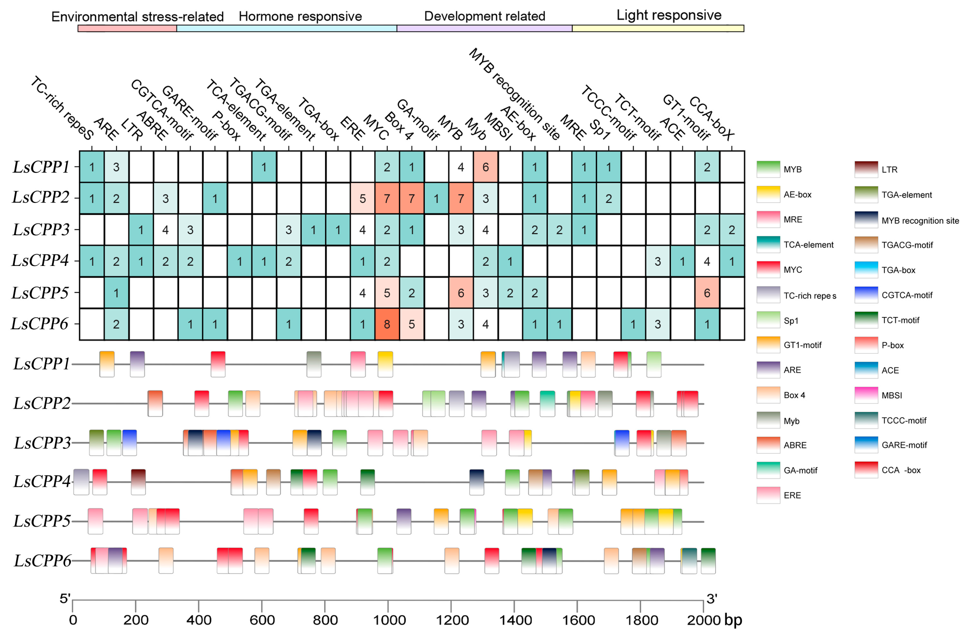 Agronomy 15 02120 g005