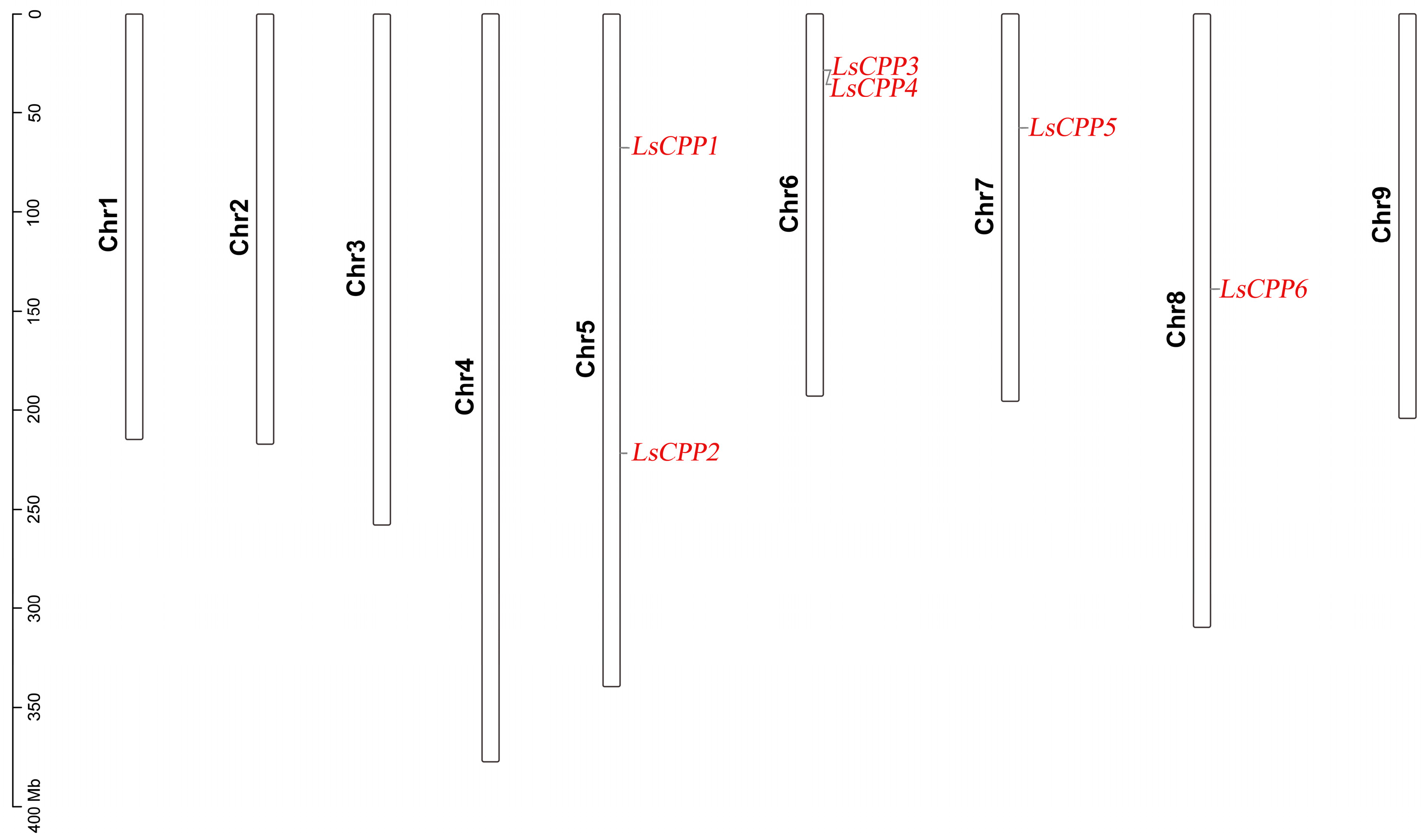 Agronomy 15 02120 g006