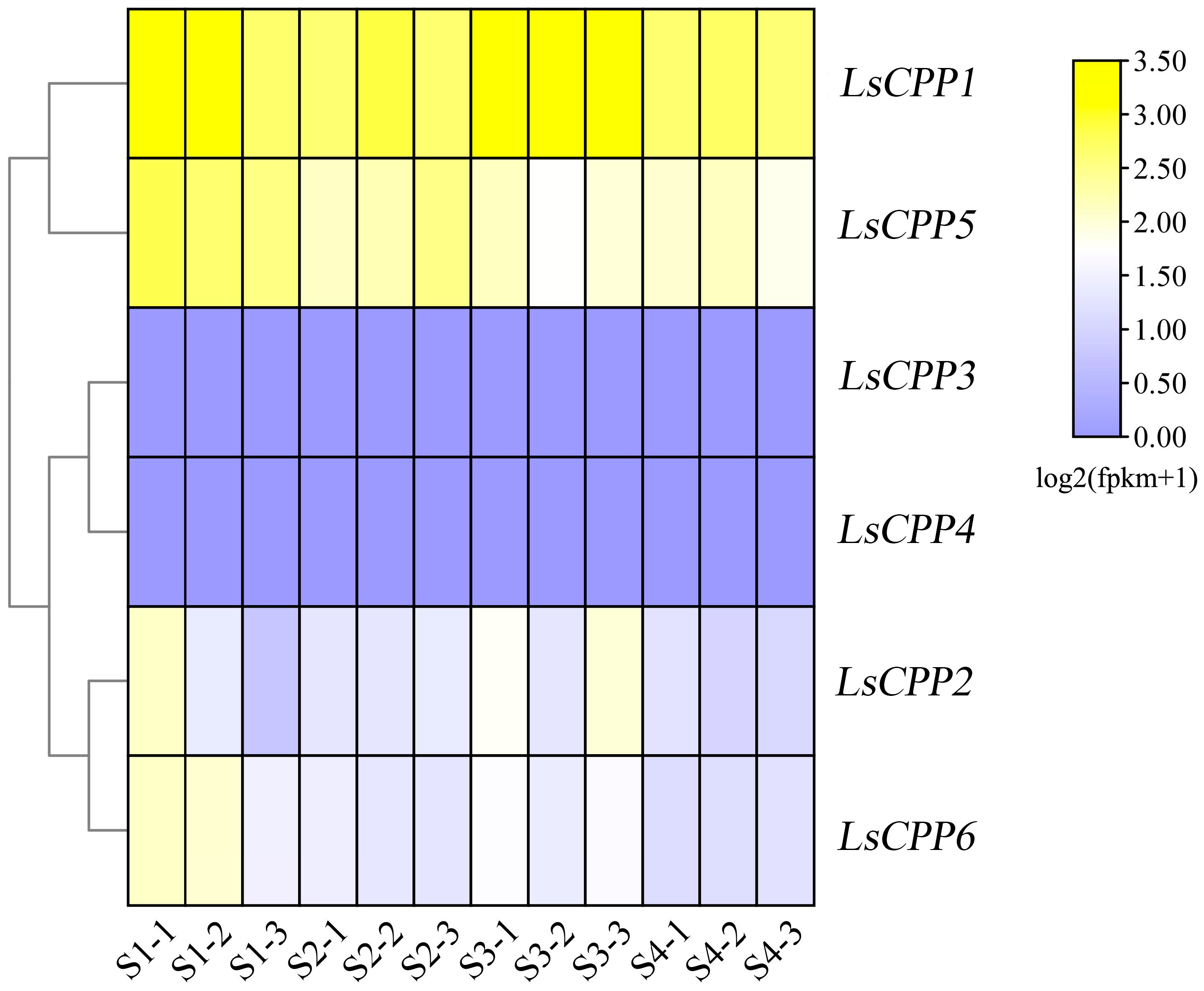 Agronomy 15 02120 g007
