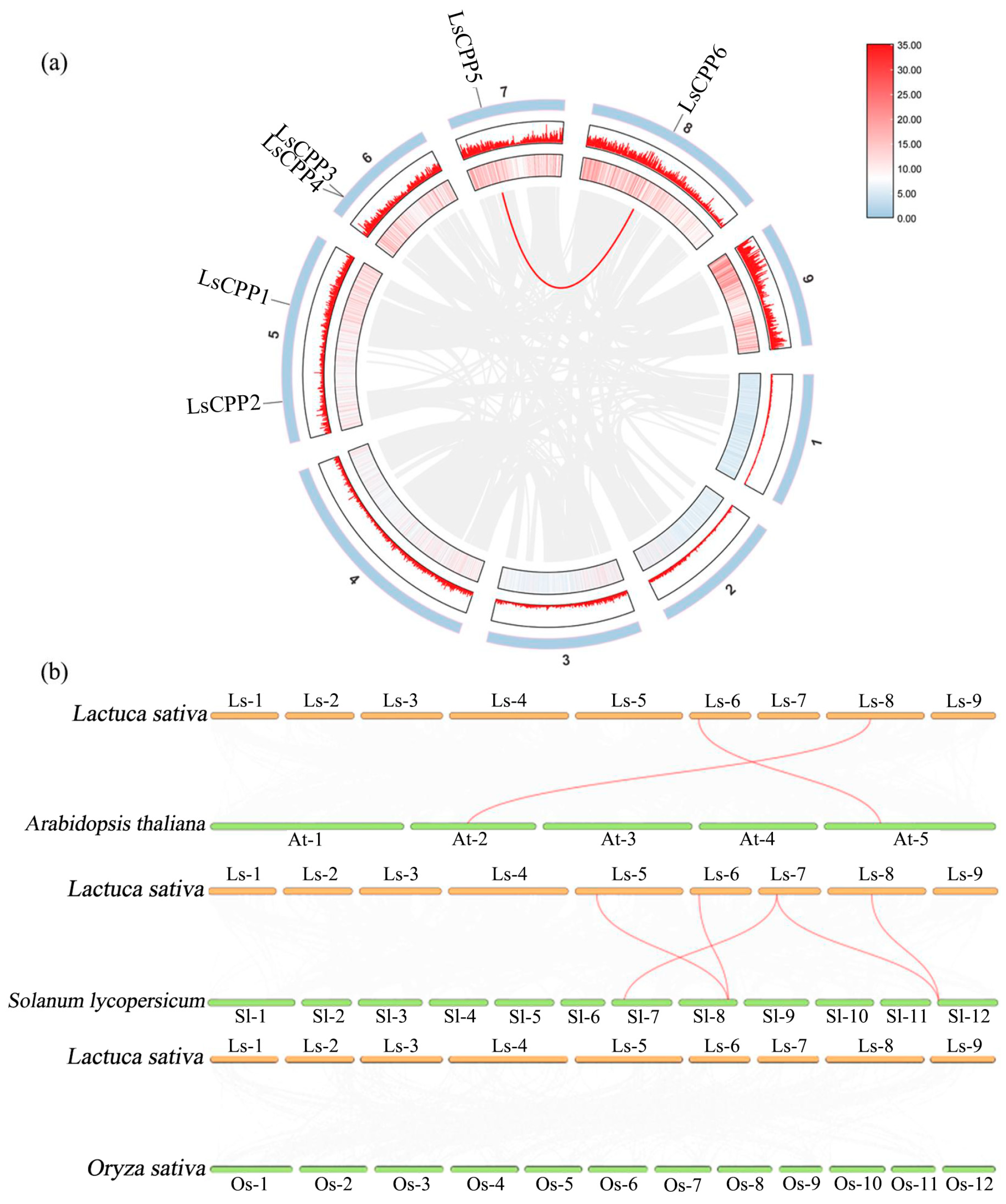 Agronomy 15 02120 g011