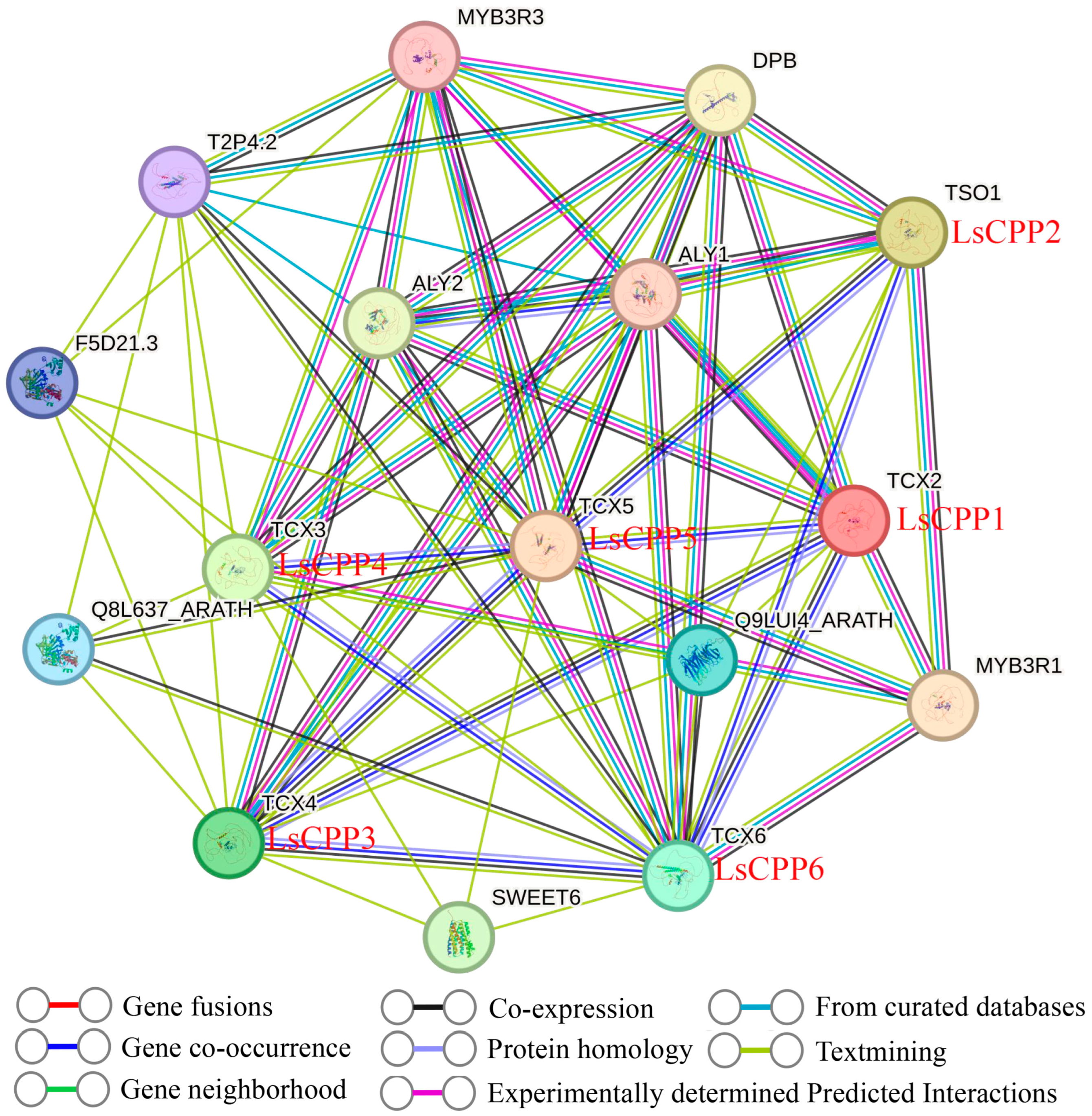 Agronomy 15 02120 g012